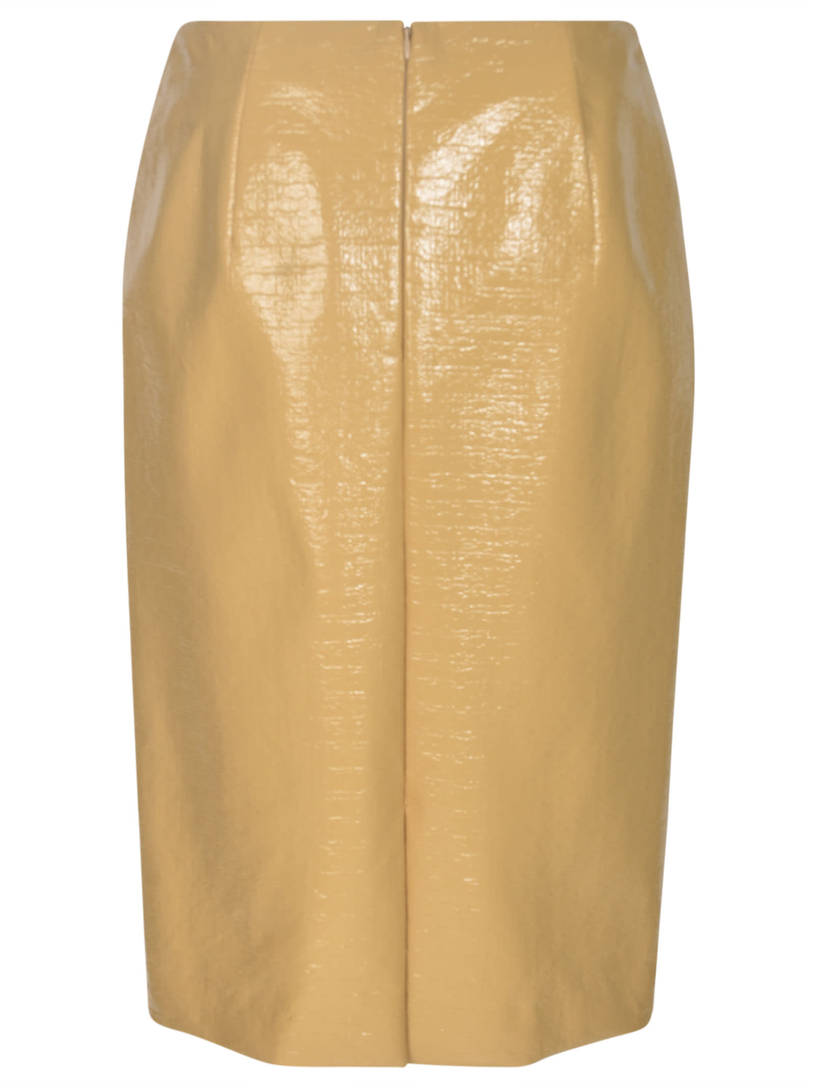 Shop Dries Van Noten Rear Zip Classic Skirt In Honey