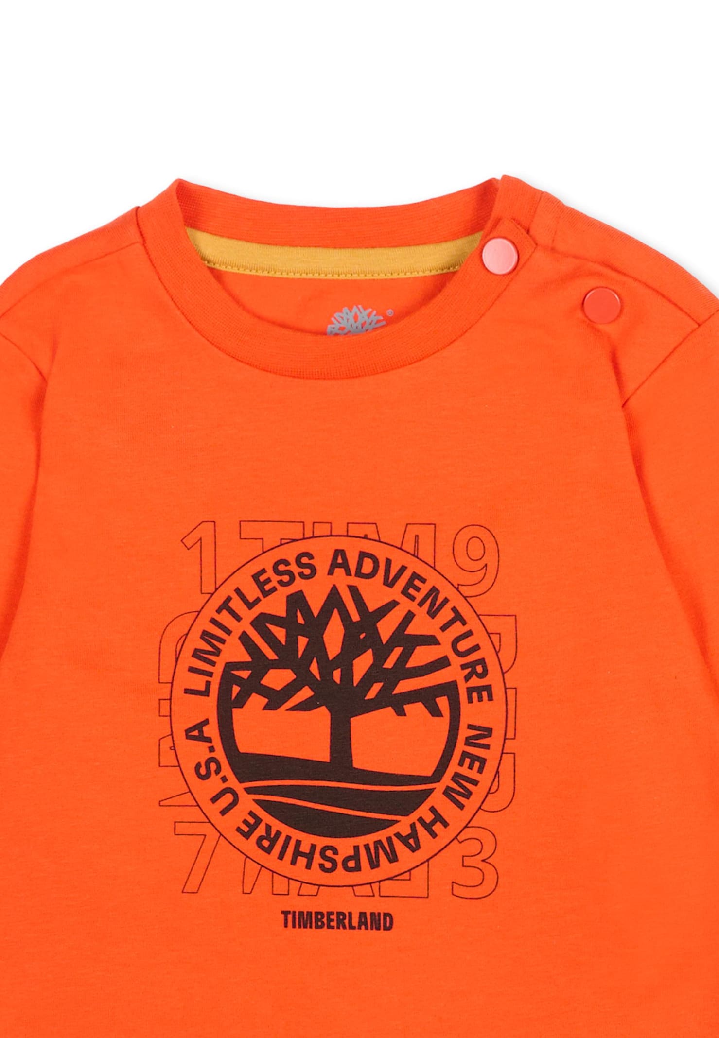 Timberland Red T-shirt For Baby Boy With Tree Print In Orange