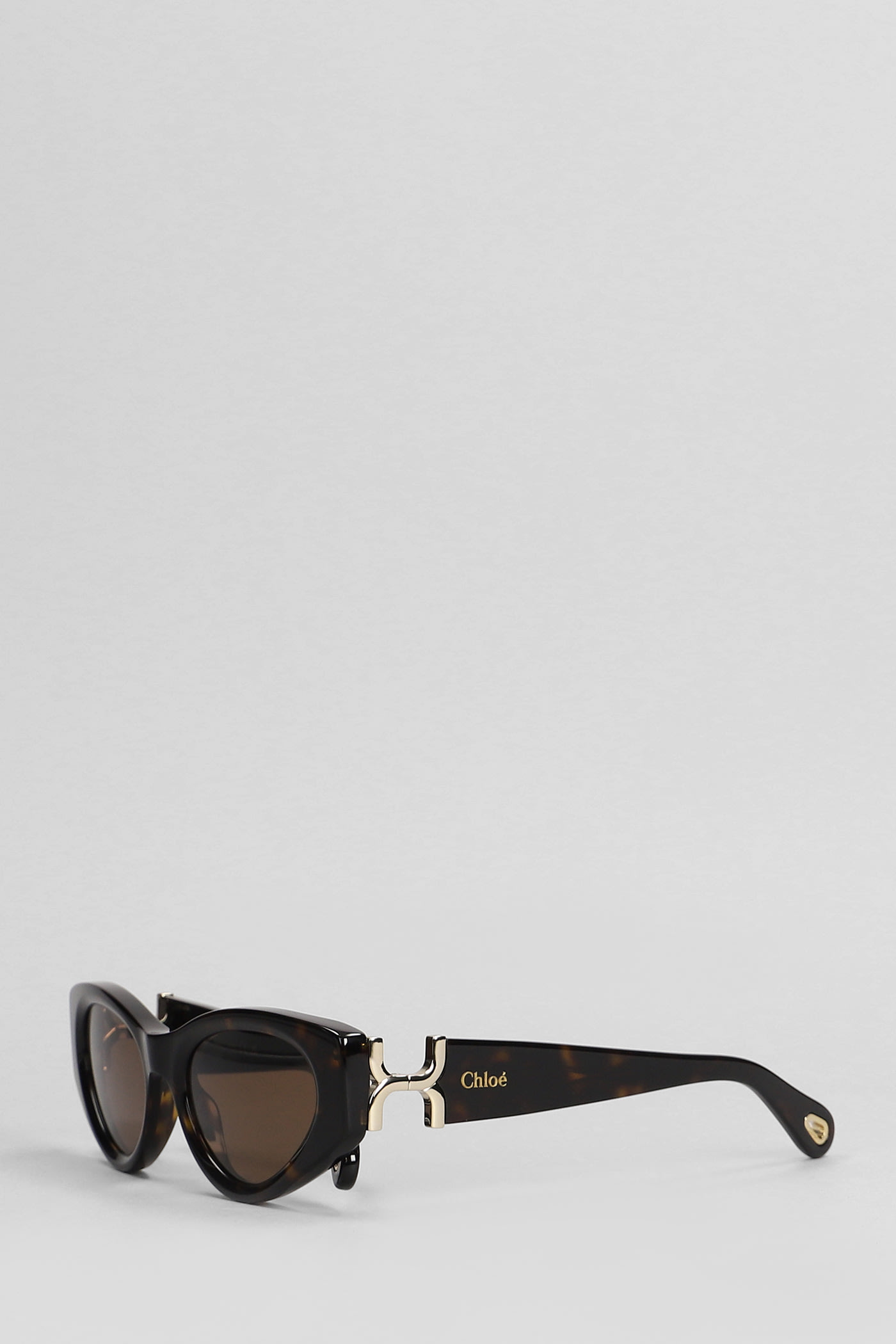 Chloé Sunglasses In Brown Acetate In Brown