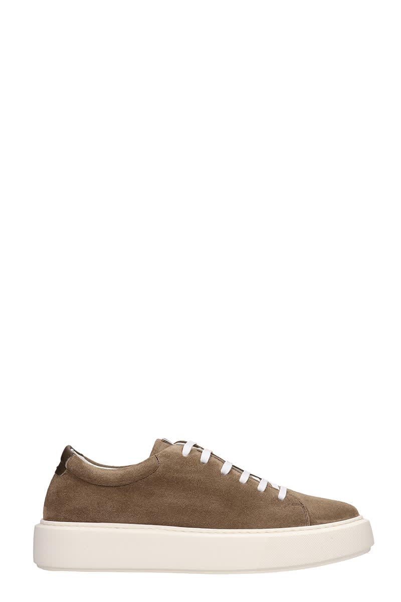 LOW BRAND SHELBY LOW SNEAKERS IN TAUPE SUEDE,11307700