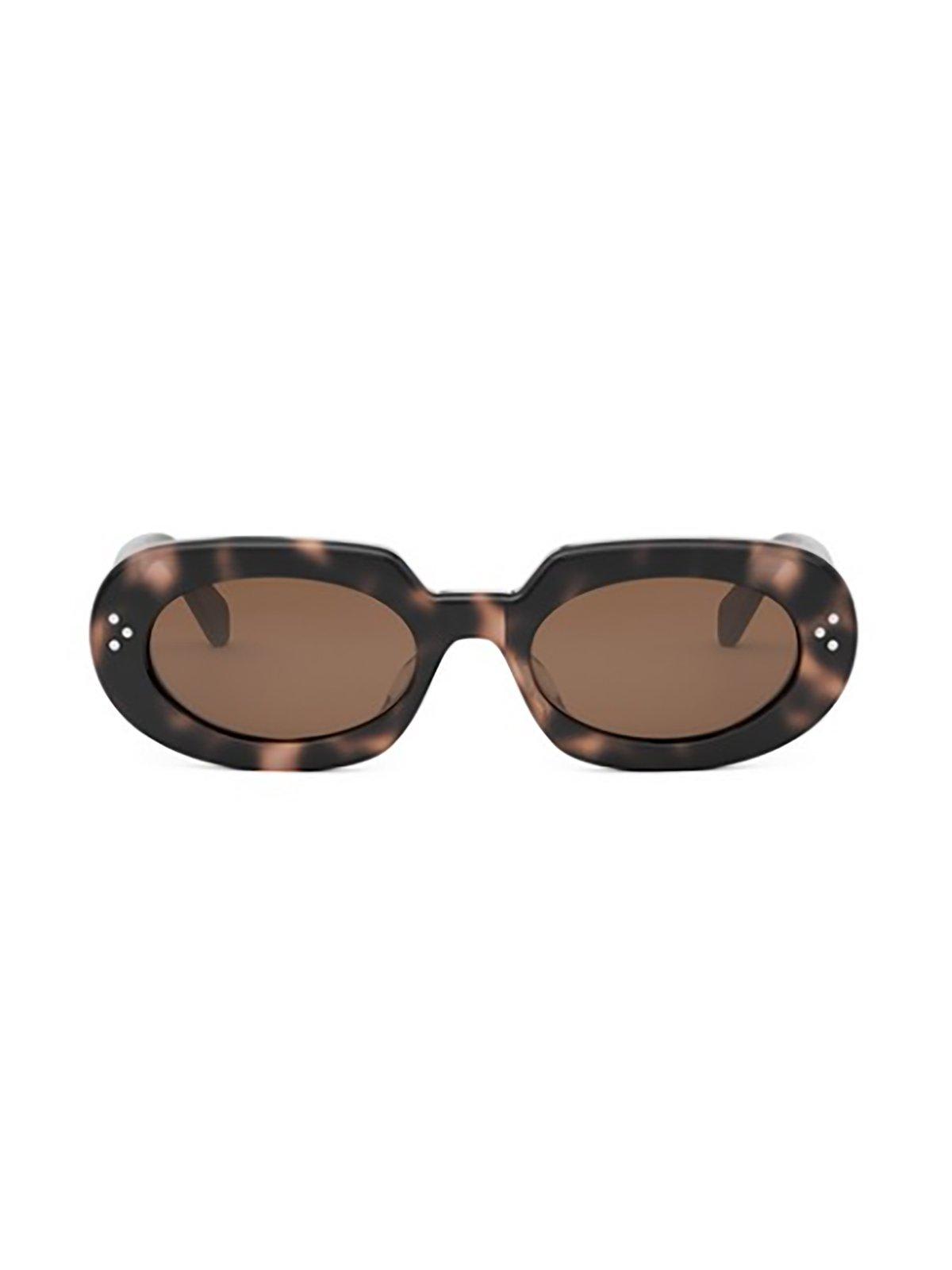 Celine Oval Frame Sunglasses In 53e - Havana