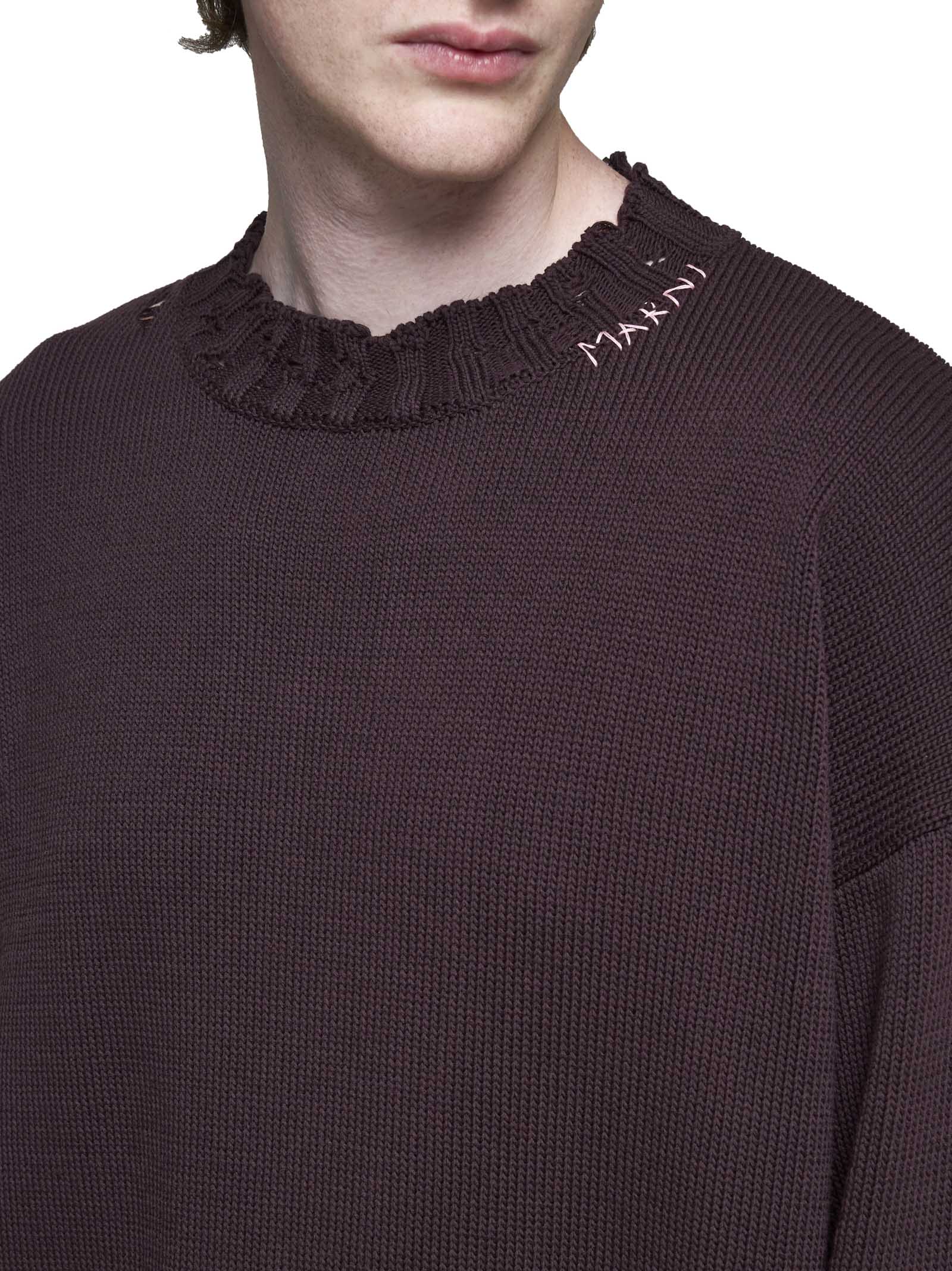 Shop Marni Sweater In Dark Raisin