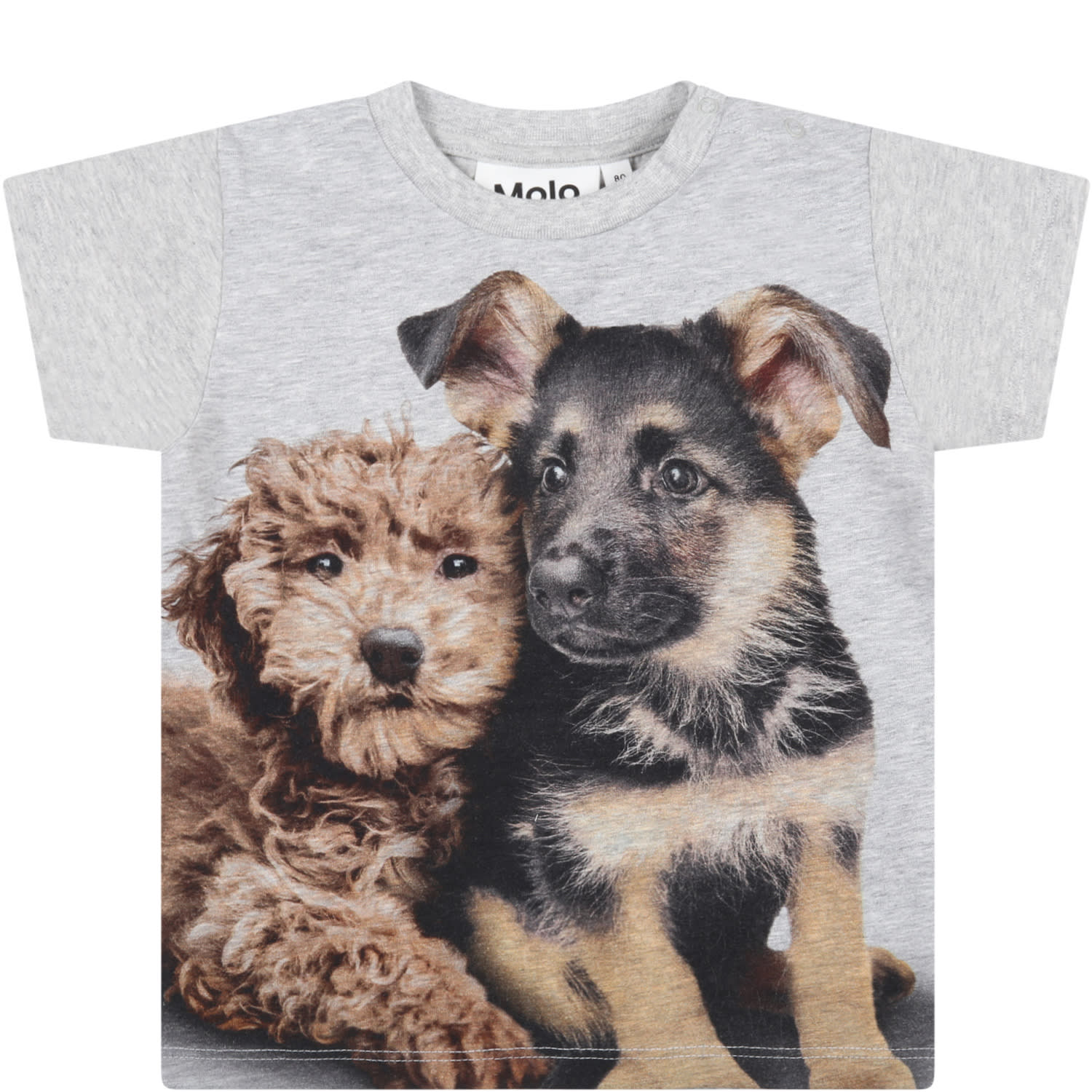 Molo Grey T-shirt For Baby Kids With Dogs