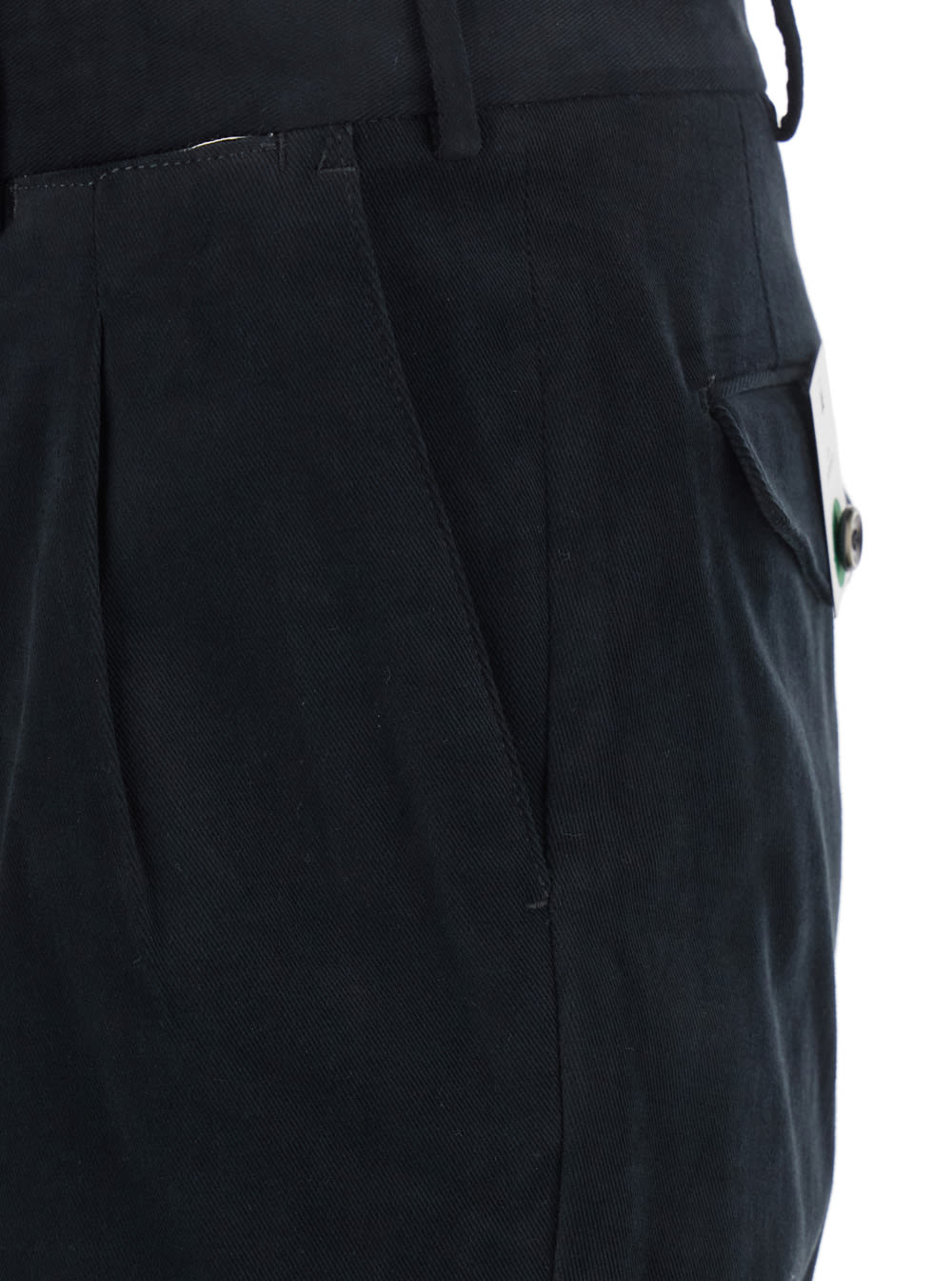 Pt Torino Pleated Trousers In Black