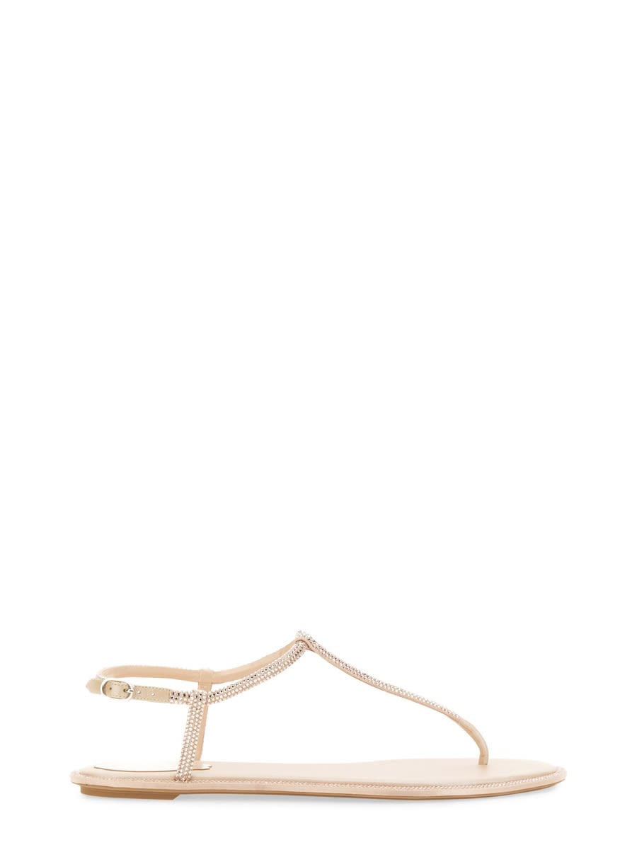 Shop René Caovilla Sandal Diana In Powder