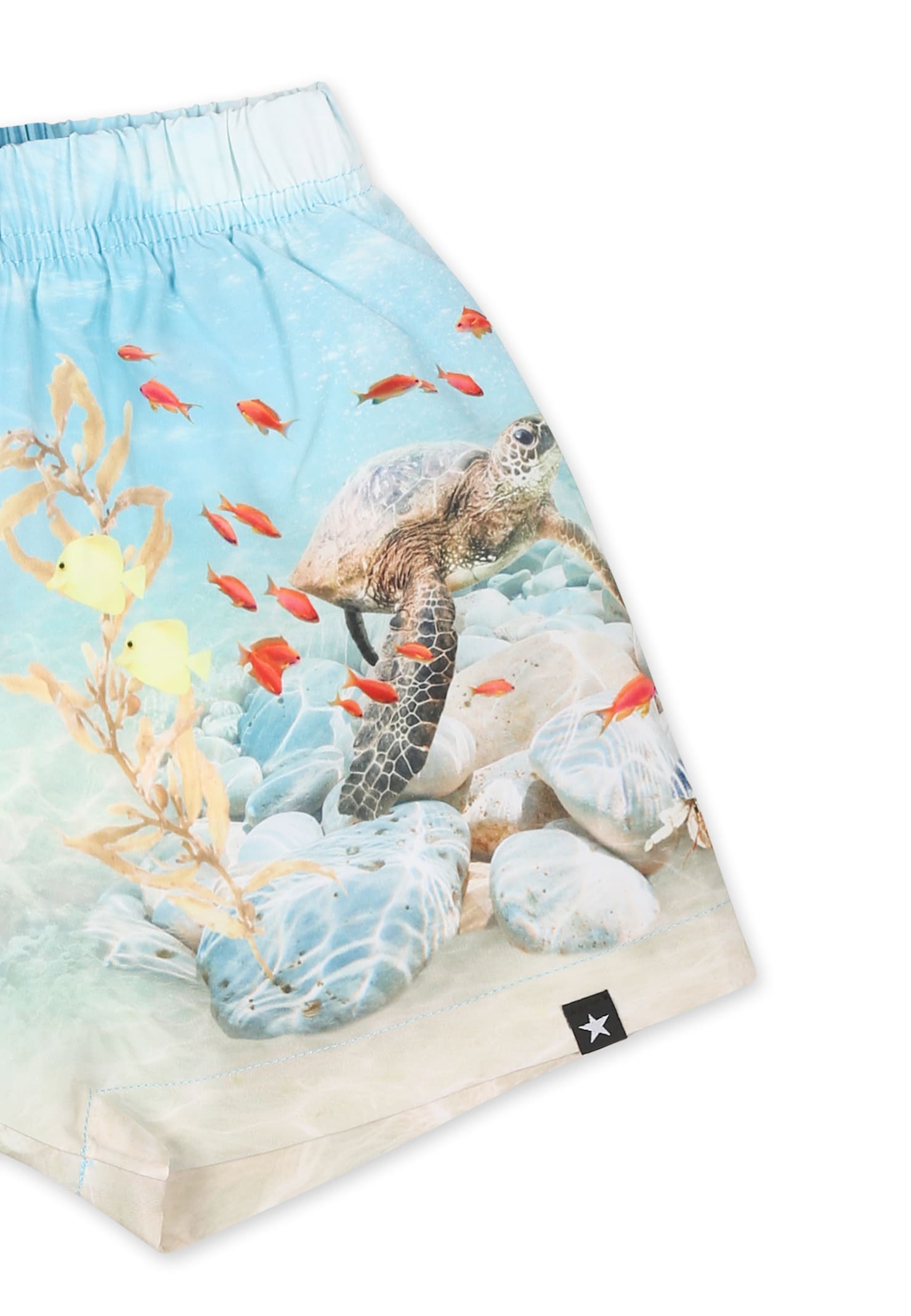Molo Light Blue Swim Shorts For Baby Boy With Ocean Print In Light Blue
