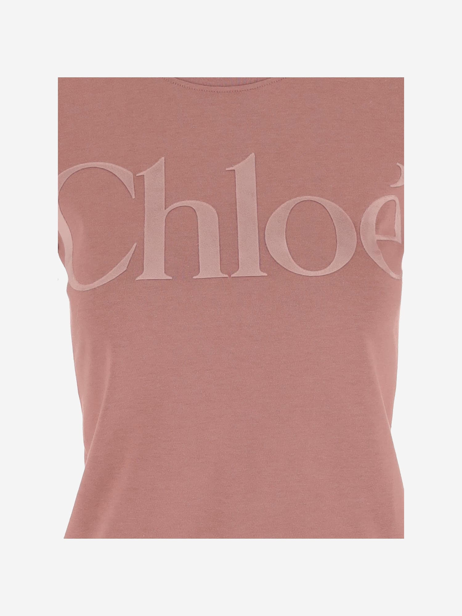 Shop Chloé Cotton Jersey T-shirt With Logo In Pink