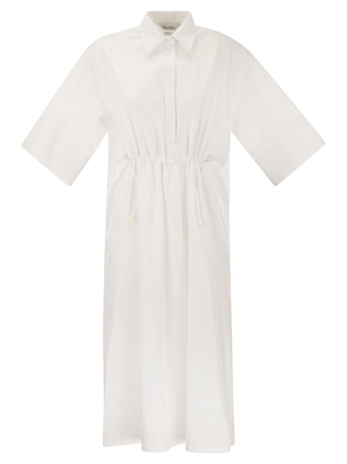 Shop Max Mara Eulalia Dress In Bianco