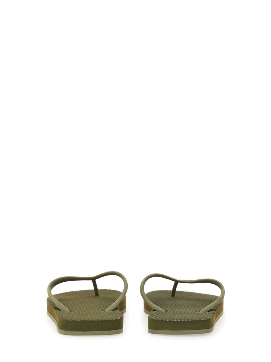 Shop Dsquared2 Rubber Thong Sandal In Green
