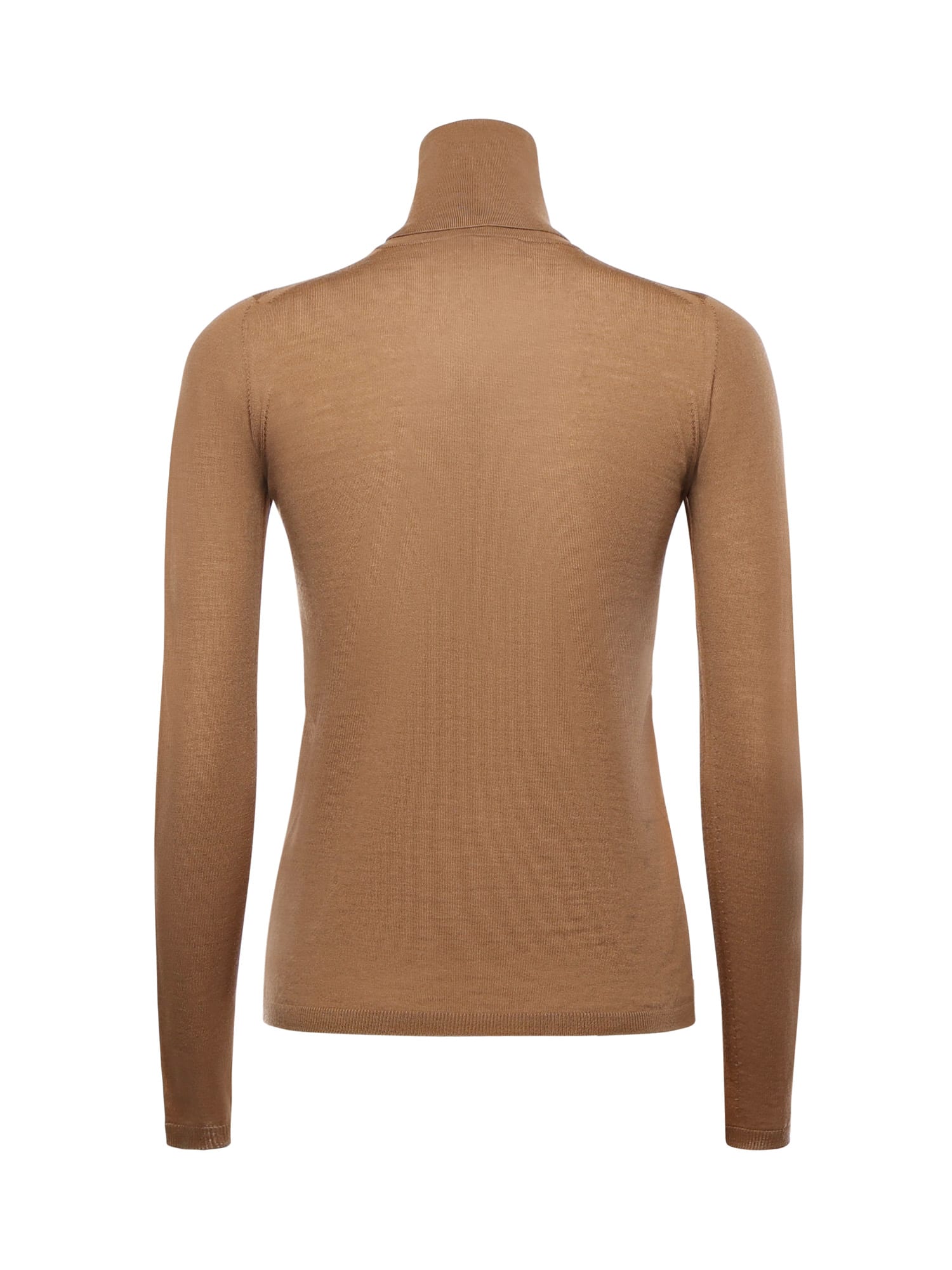 Max Mara Wool Turtleneck In Brown