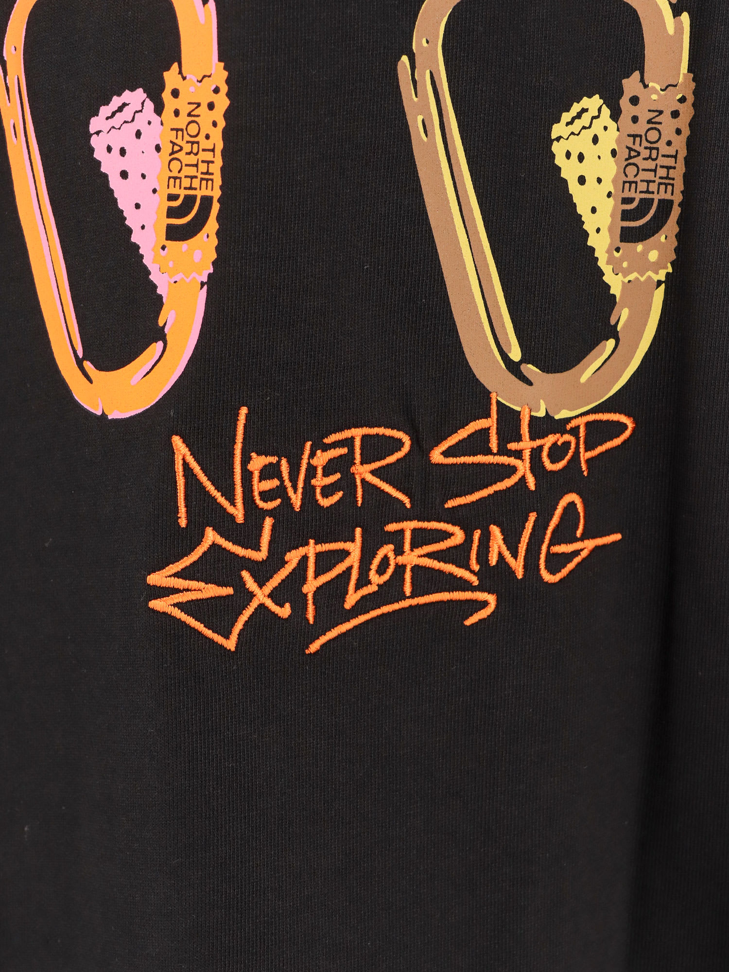 Shop The North Face Nse T-shirt In Nero
