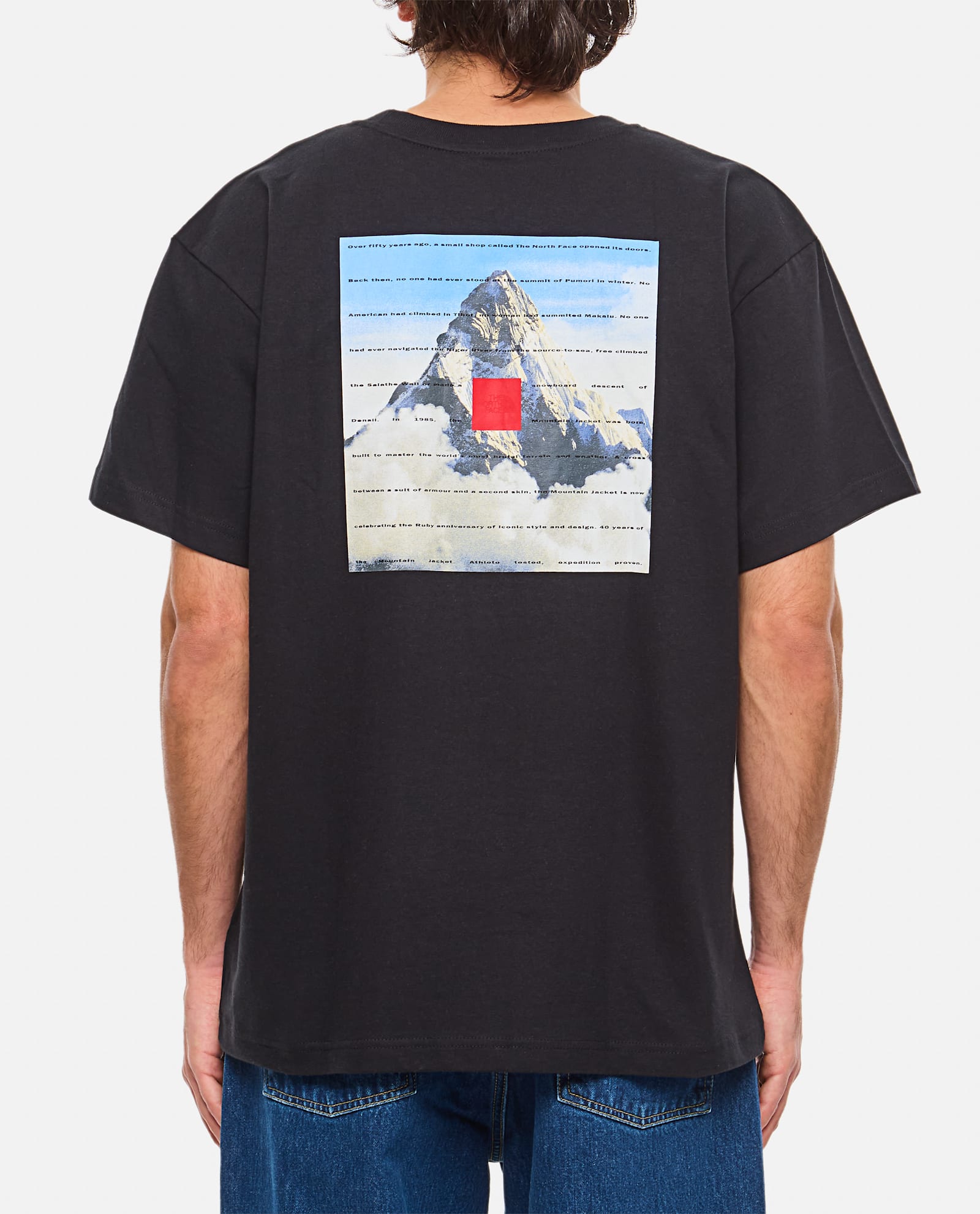 THE NORTH FACE T-SHIRT