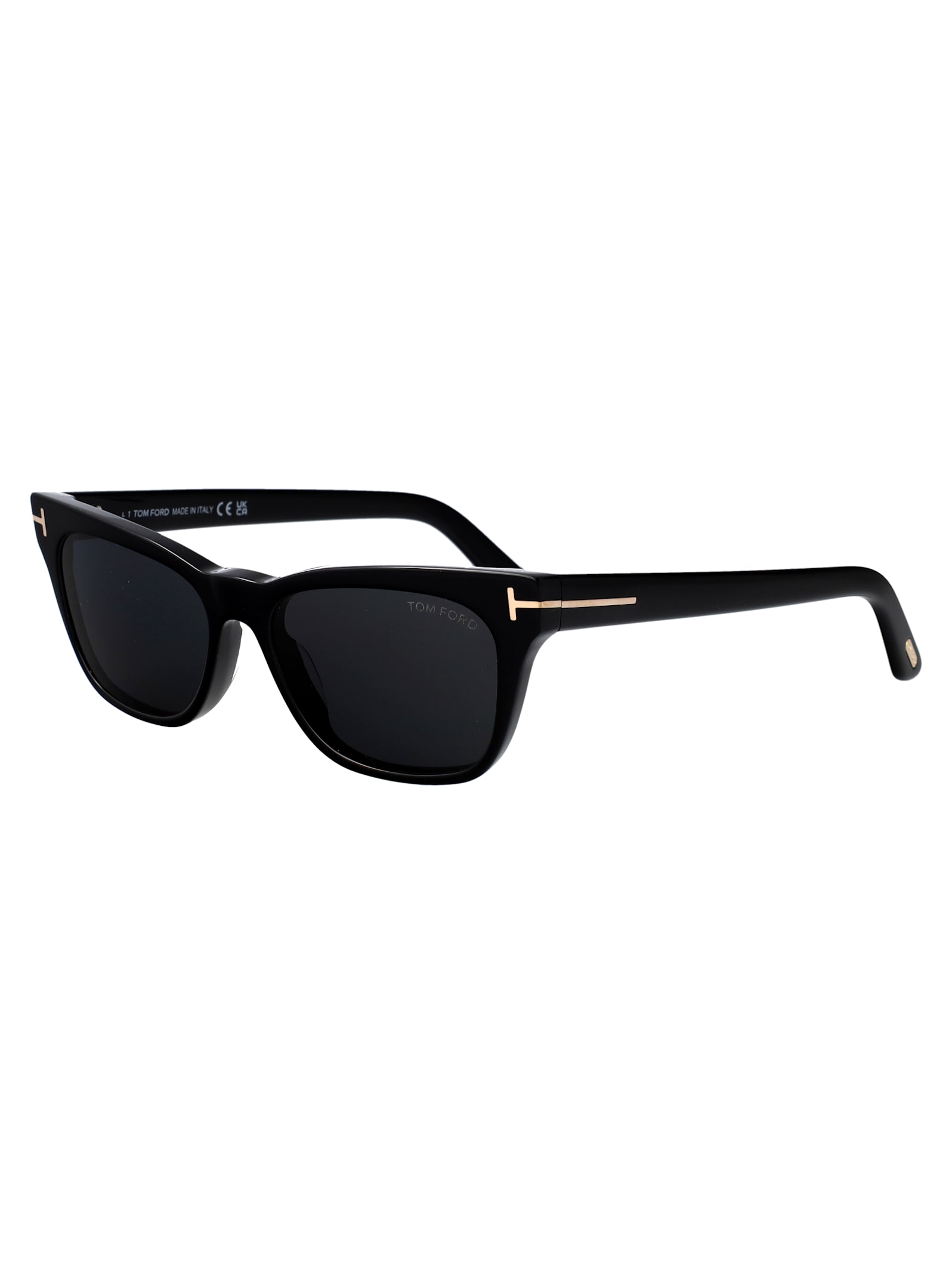 Tom Ford Penn-02 Sunglasses In Black