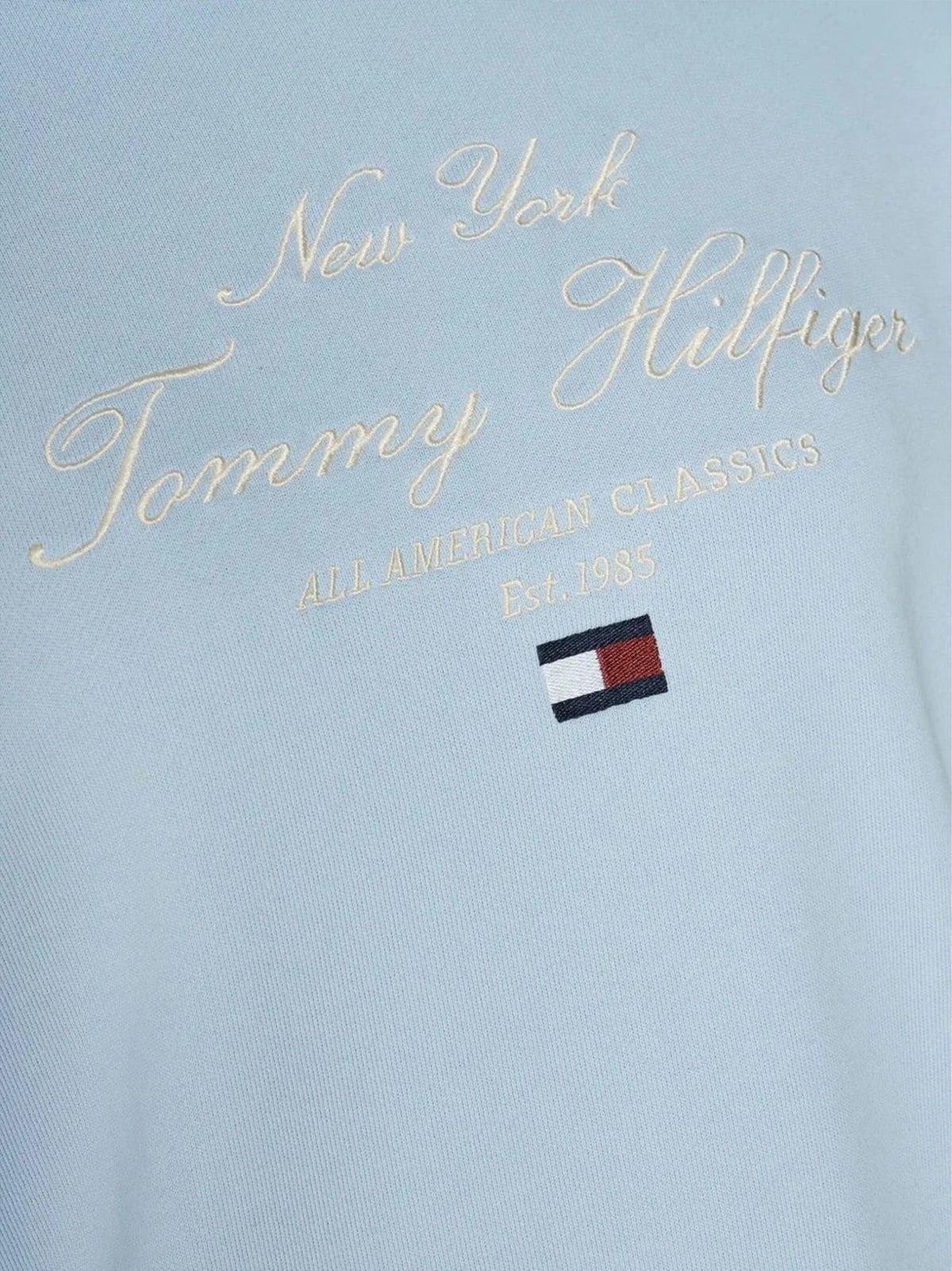 Tommy Hilfiger Logo Embroidered Drawstring Hoodie In Blue