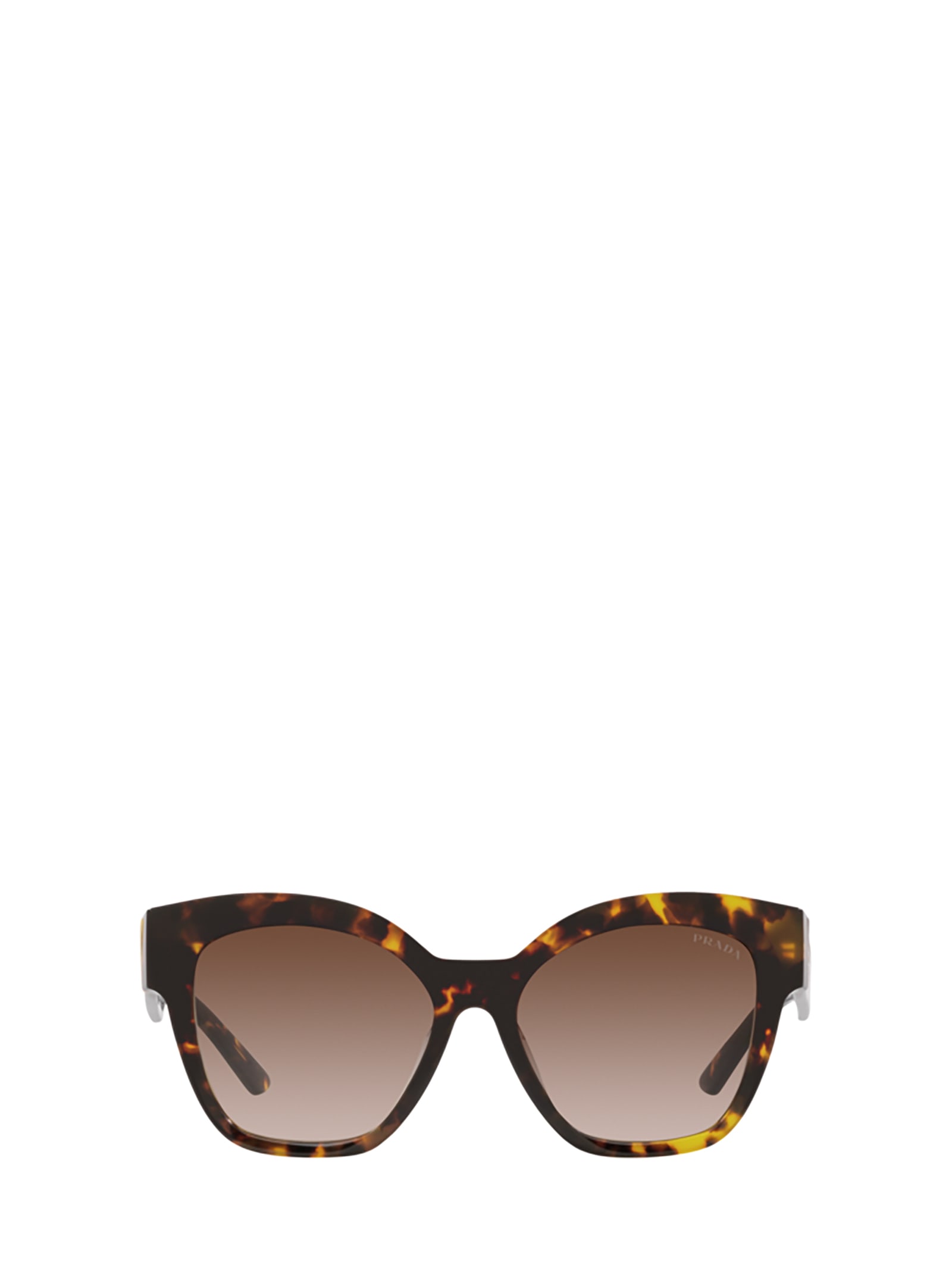 Prada Eyewear Pr 17zs Honey Tortoise Sunglasses