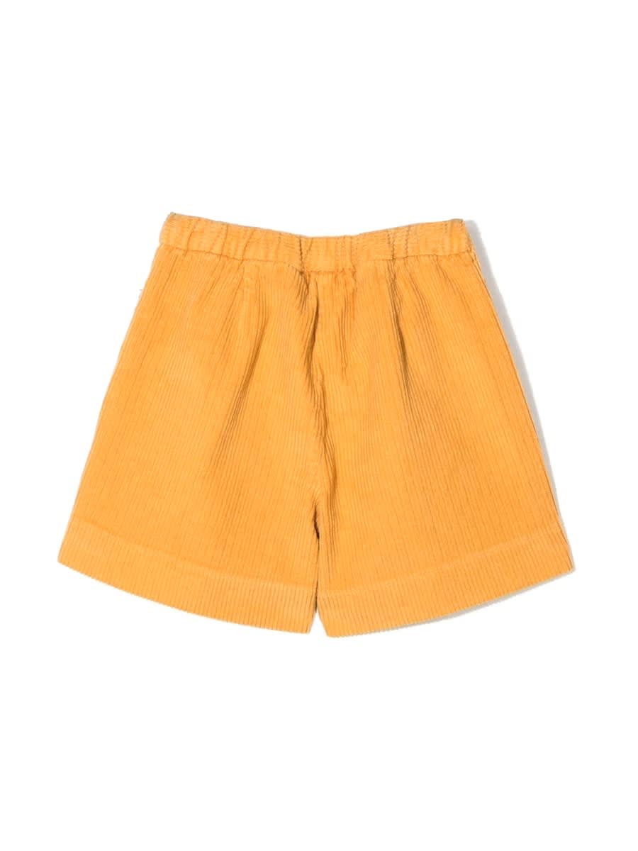 Shop Il Gufo Shorts Shorts In Yellow