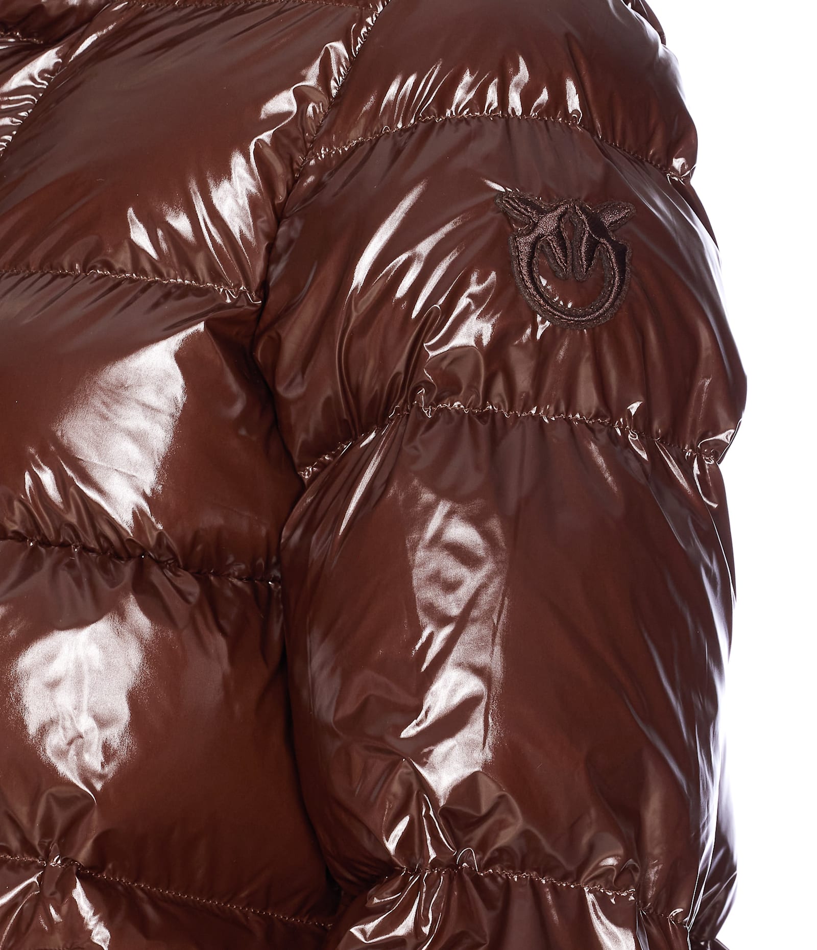 Pinko Eleodoro Down Jacket In Brown