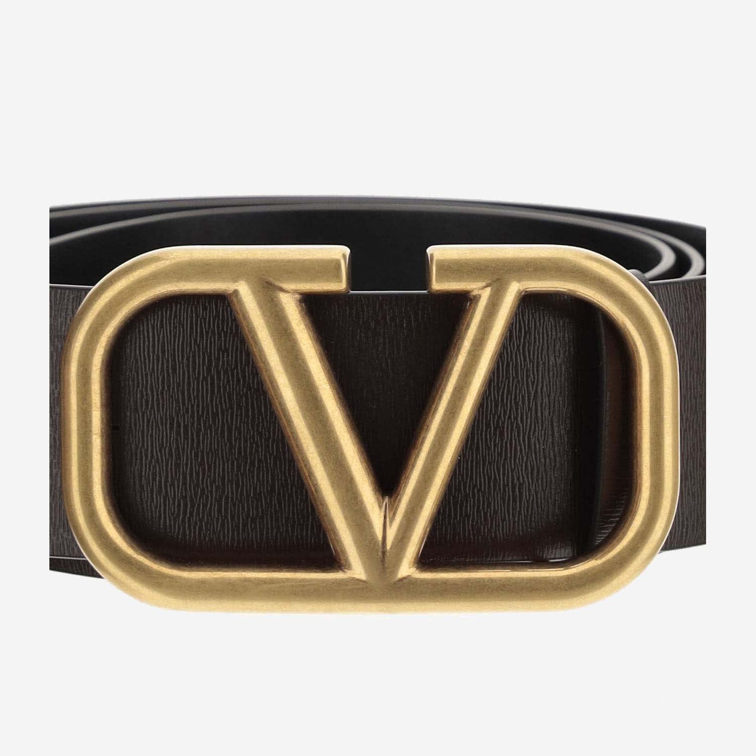 Shop Valentino Signature Vlogo Belt In Brown