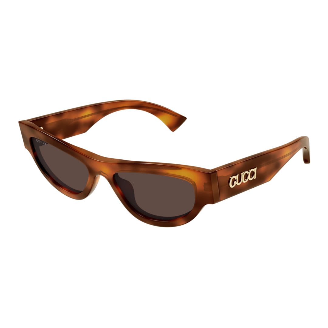 Gucci Gg1834s002 Havana Havana Brown In Brown