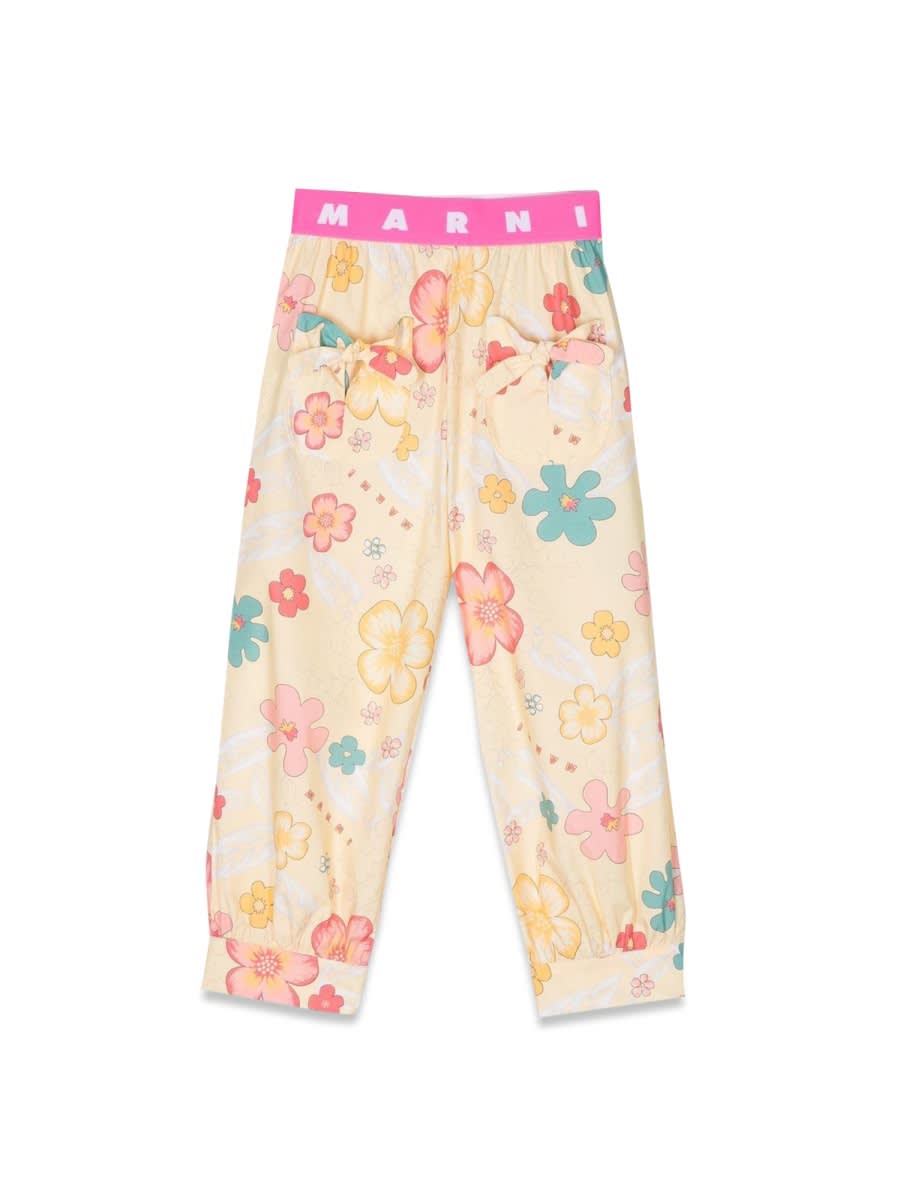 Marni Fancy Pants In Multicolour