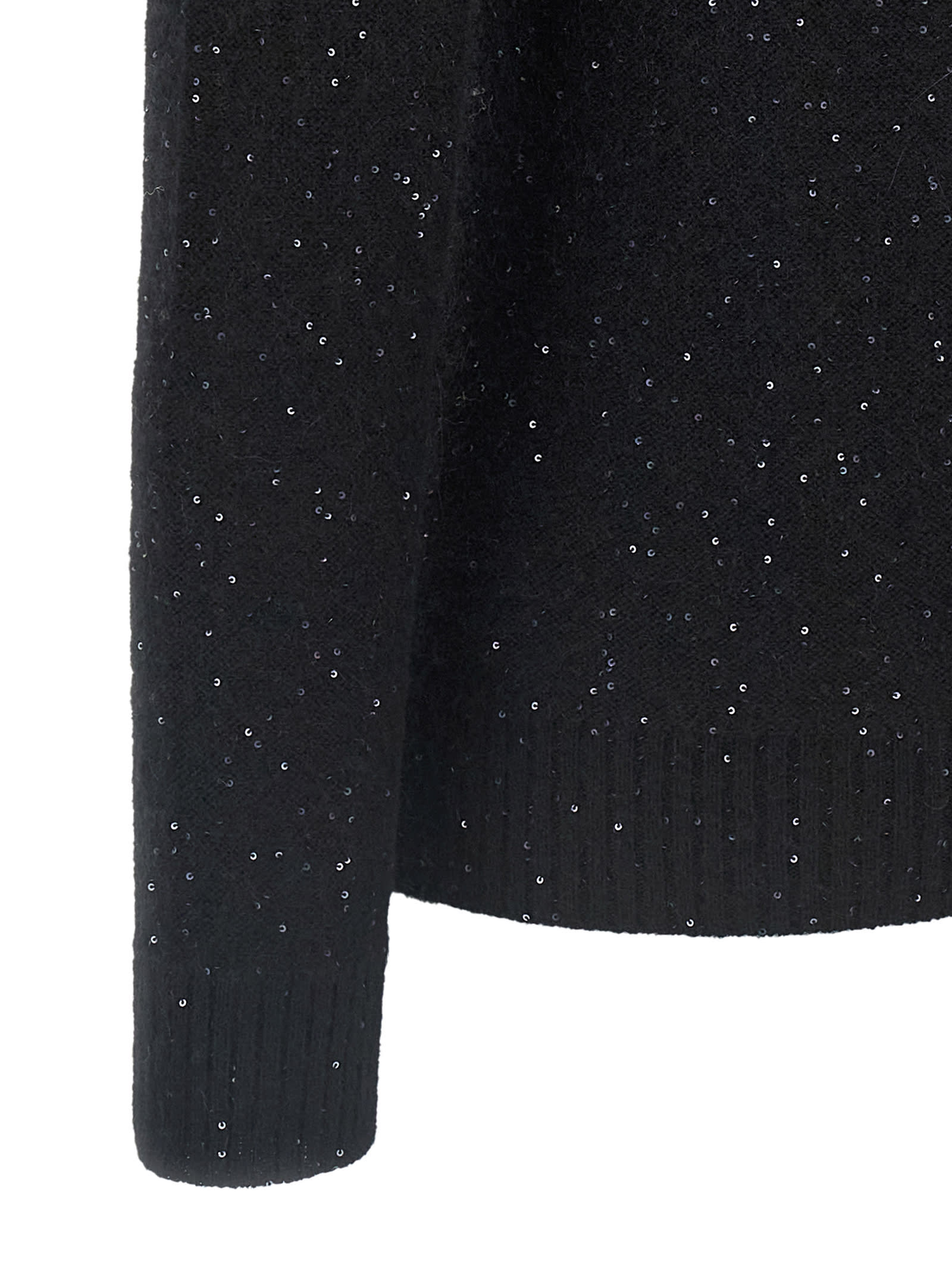 Fabiana Filippi Sequin Turtleneck Sweater Sweaters And Cardigans Black In Black