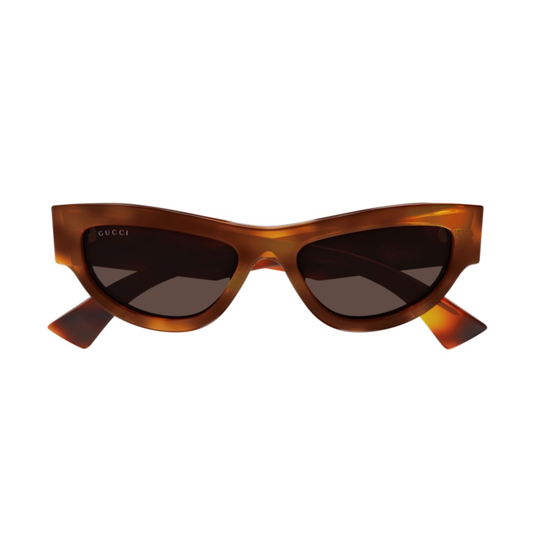 Gucci Gg1834s002 Havana Havana Brown In Brown