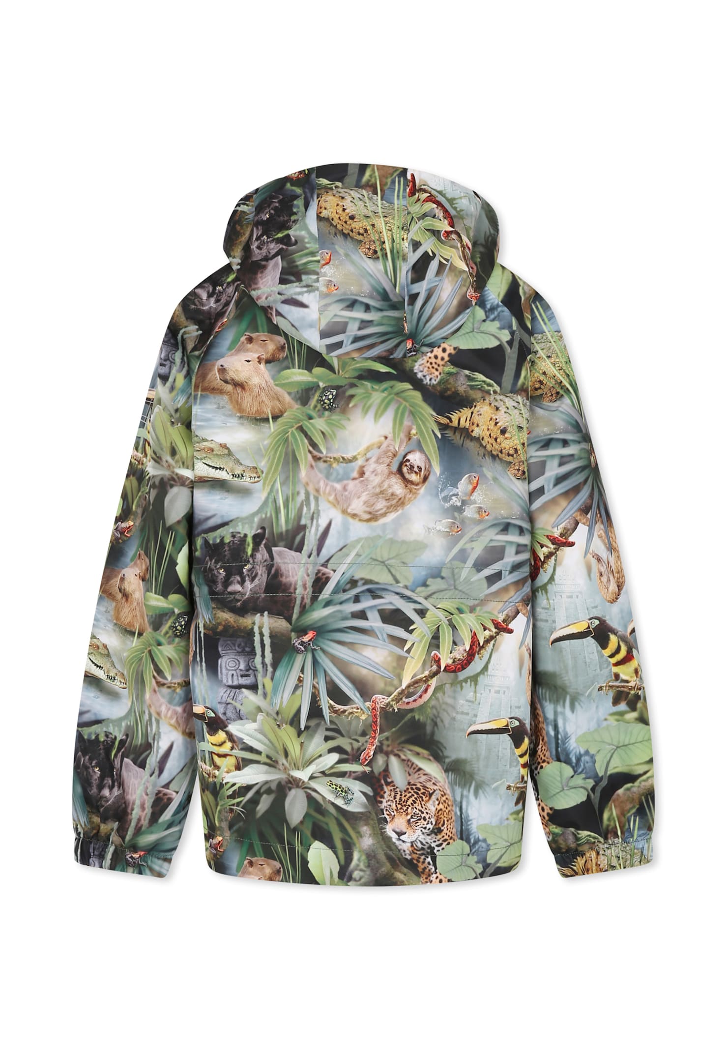 Molo Multicolor Windbreaker Jacket For Boy With Jungle Print In Multi