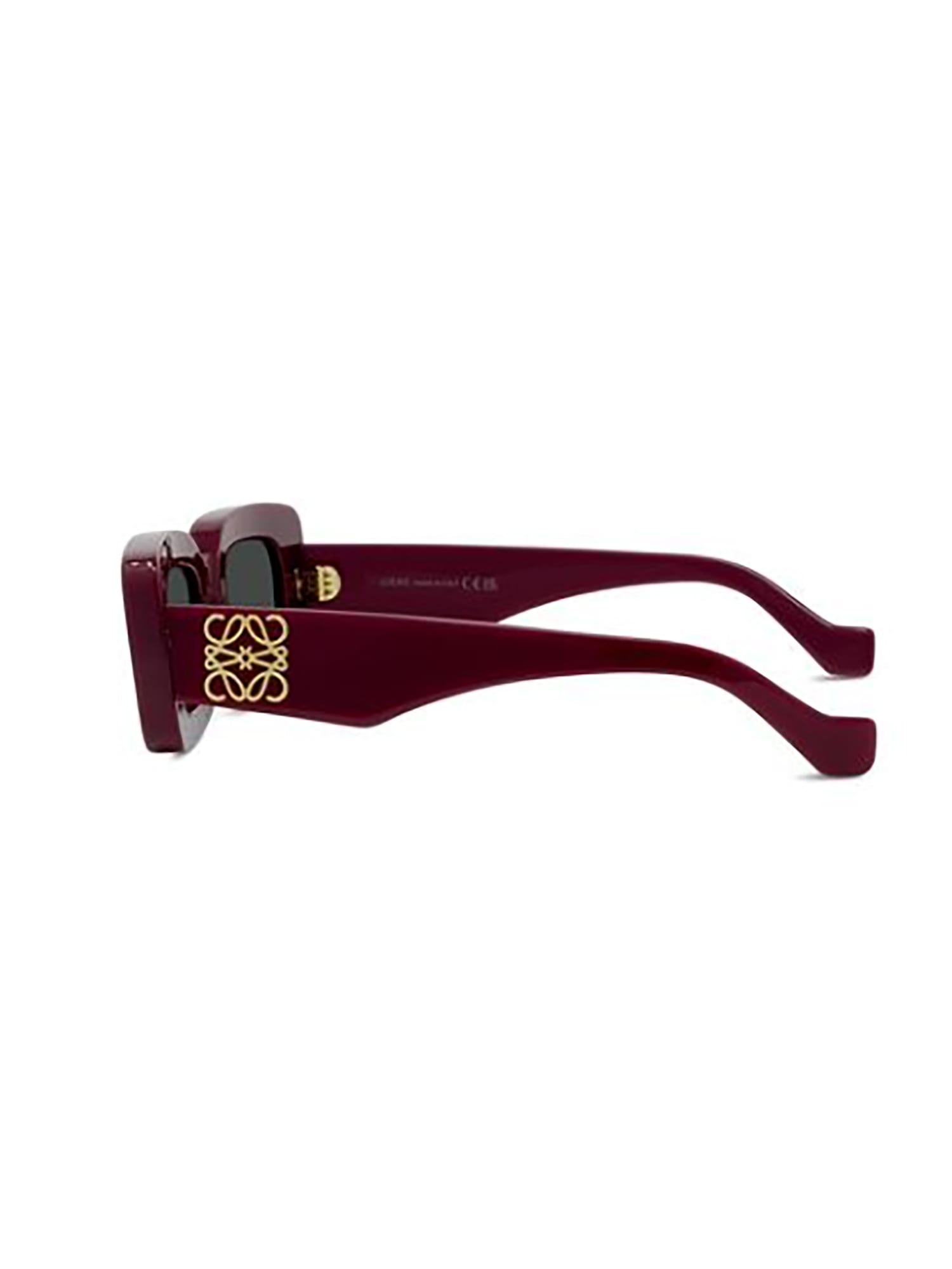 Loewe Lw40101i Sunglasses In Brown
