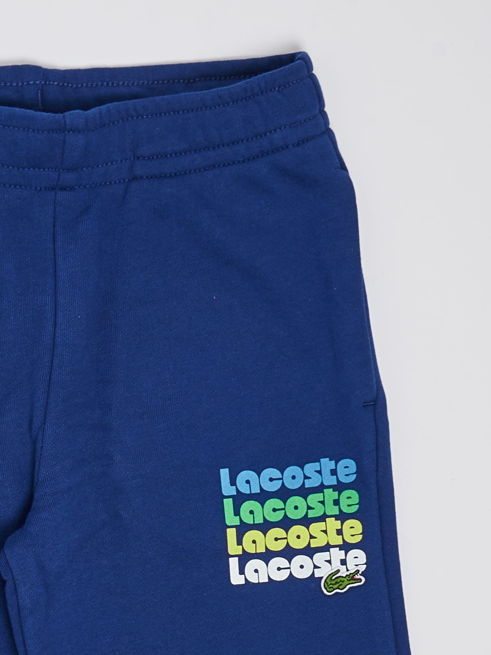 Shop Lacoste Shorts Shorts In Blu Medio