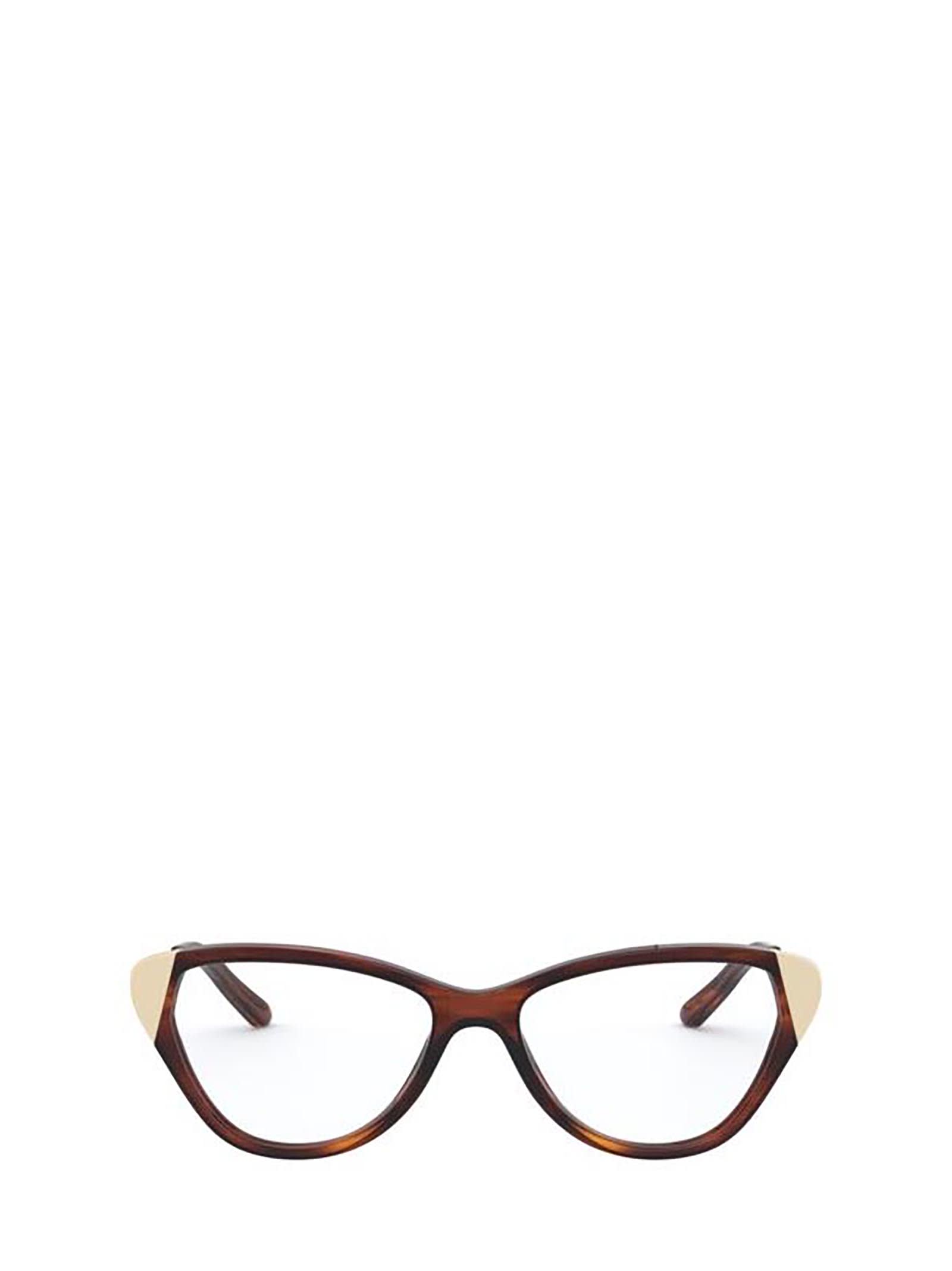 Ralph Lauren Rl6191 Shiny Striped Havana Glasses