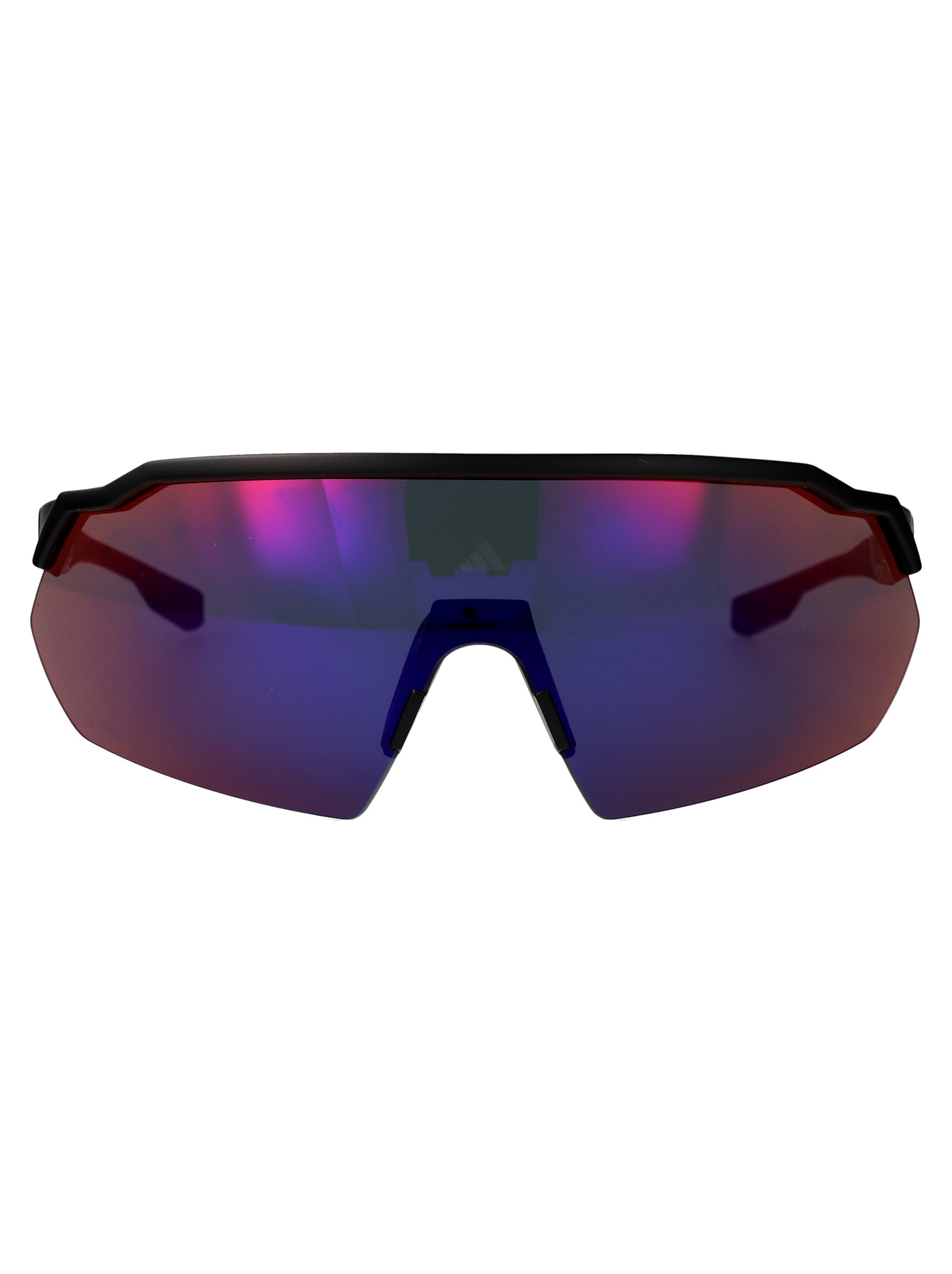 Sp0093 Sunglasses
