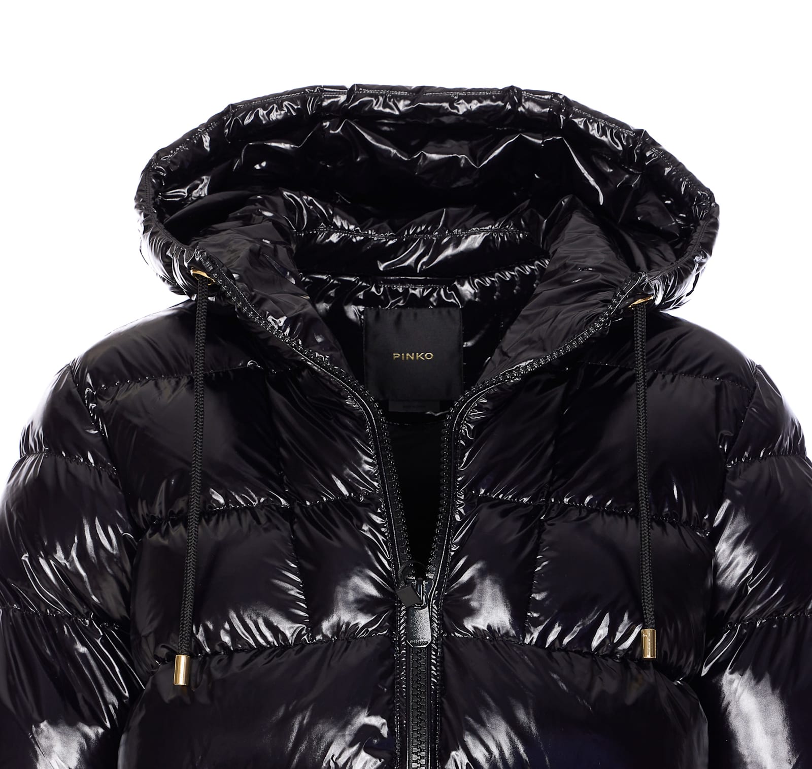 Pinko Eleodoro Down Jacket In Black