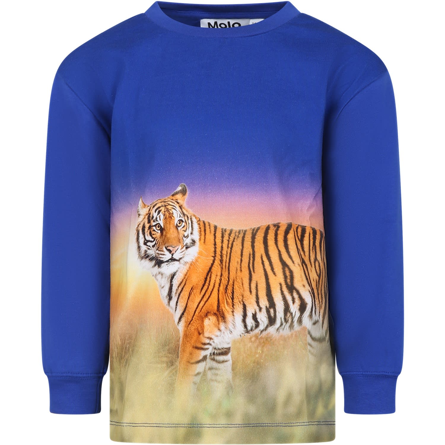 Shop Molo Blue T-shirt For Boy With Tiger