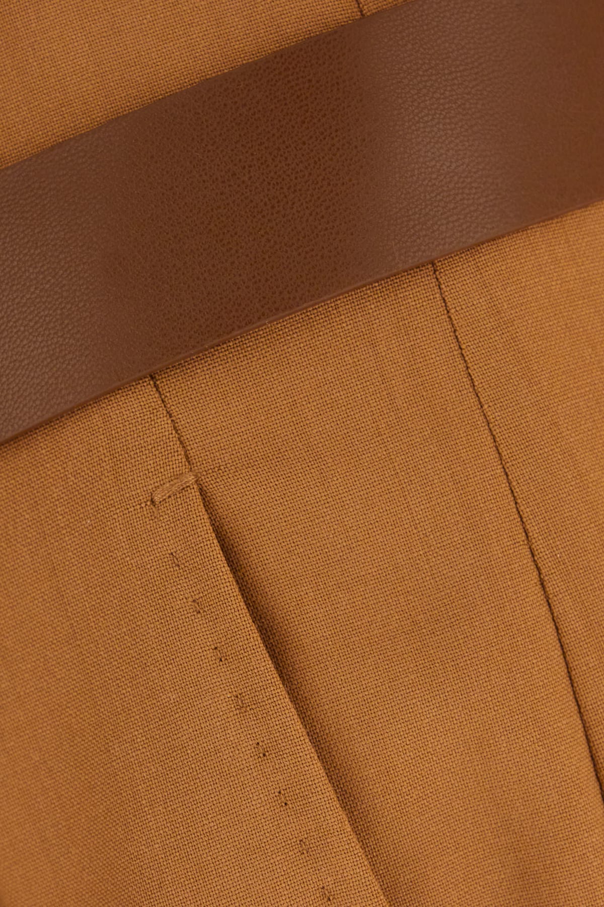 Max Mara Camel Wool Pants In Brown