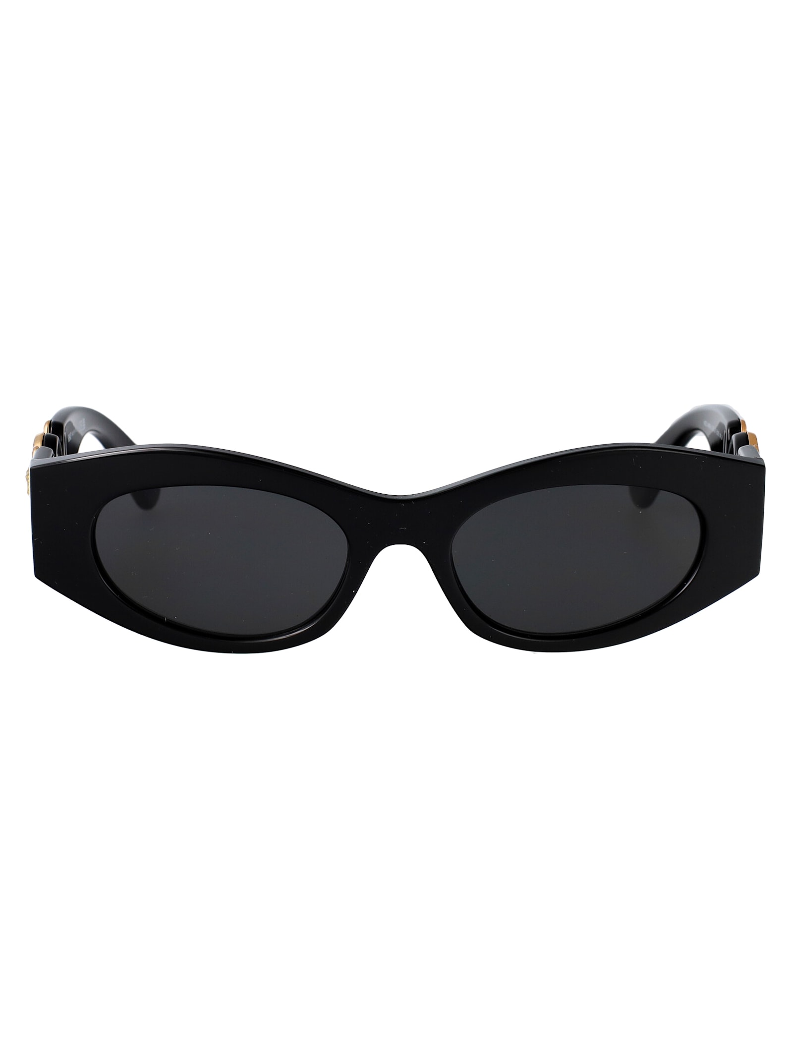 0ve4480u Sunglasses