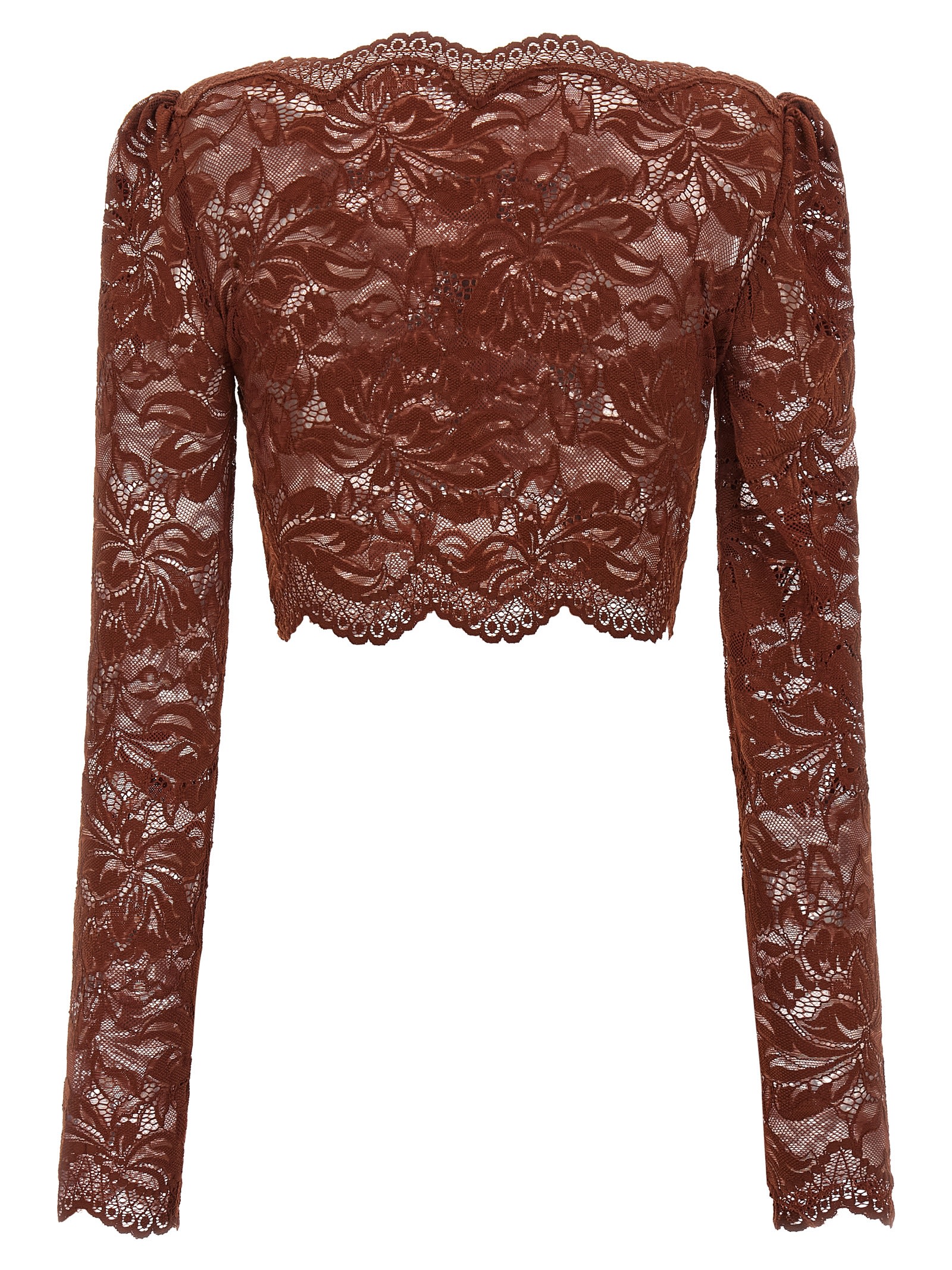 Rabanne Floral Lace Long Sleeve Cropped Top In Brown