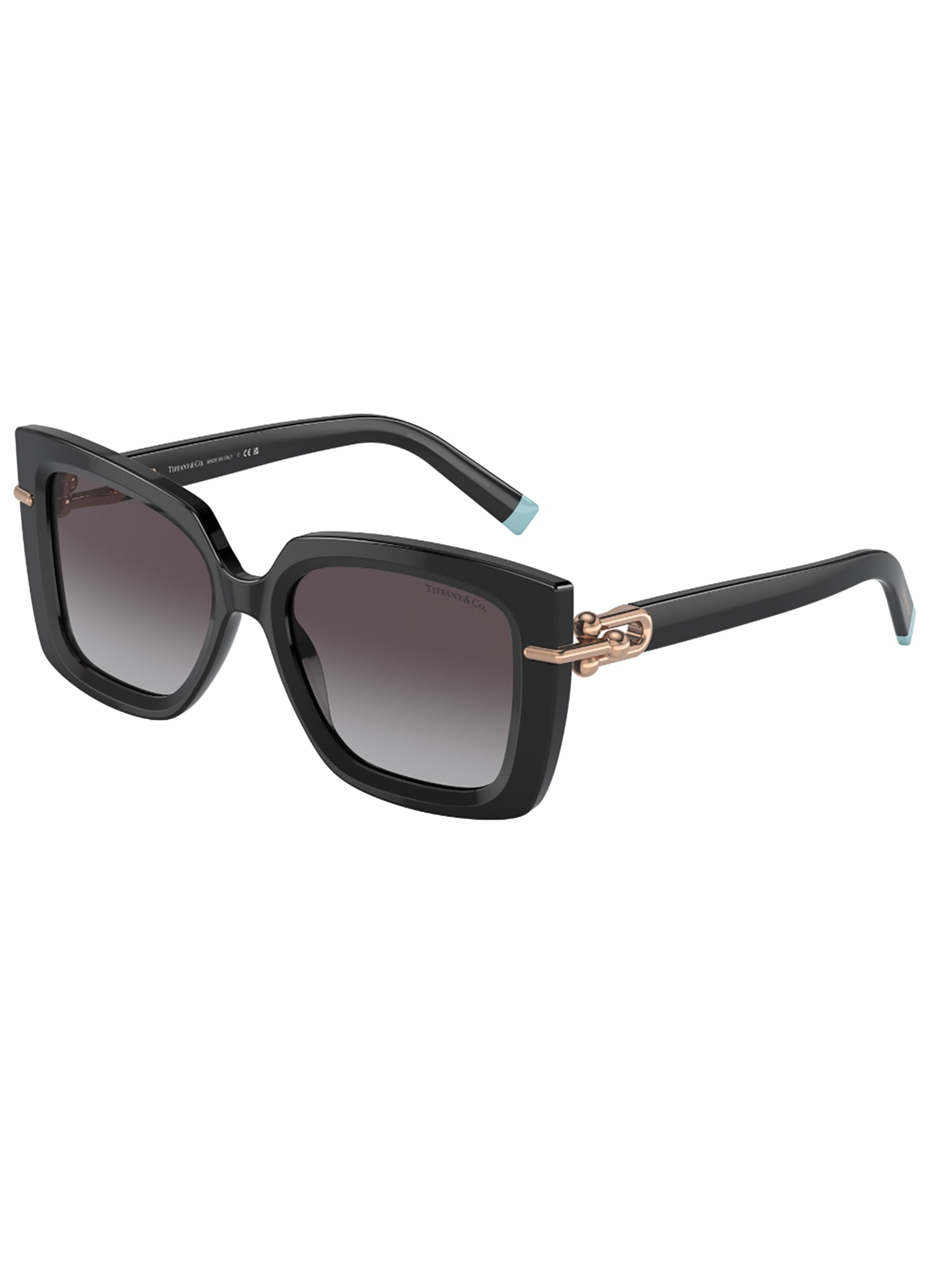 Tiffany &amp; Co. 4199 Sole Sunglasses In Black