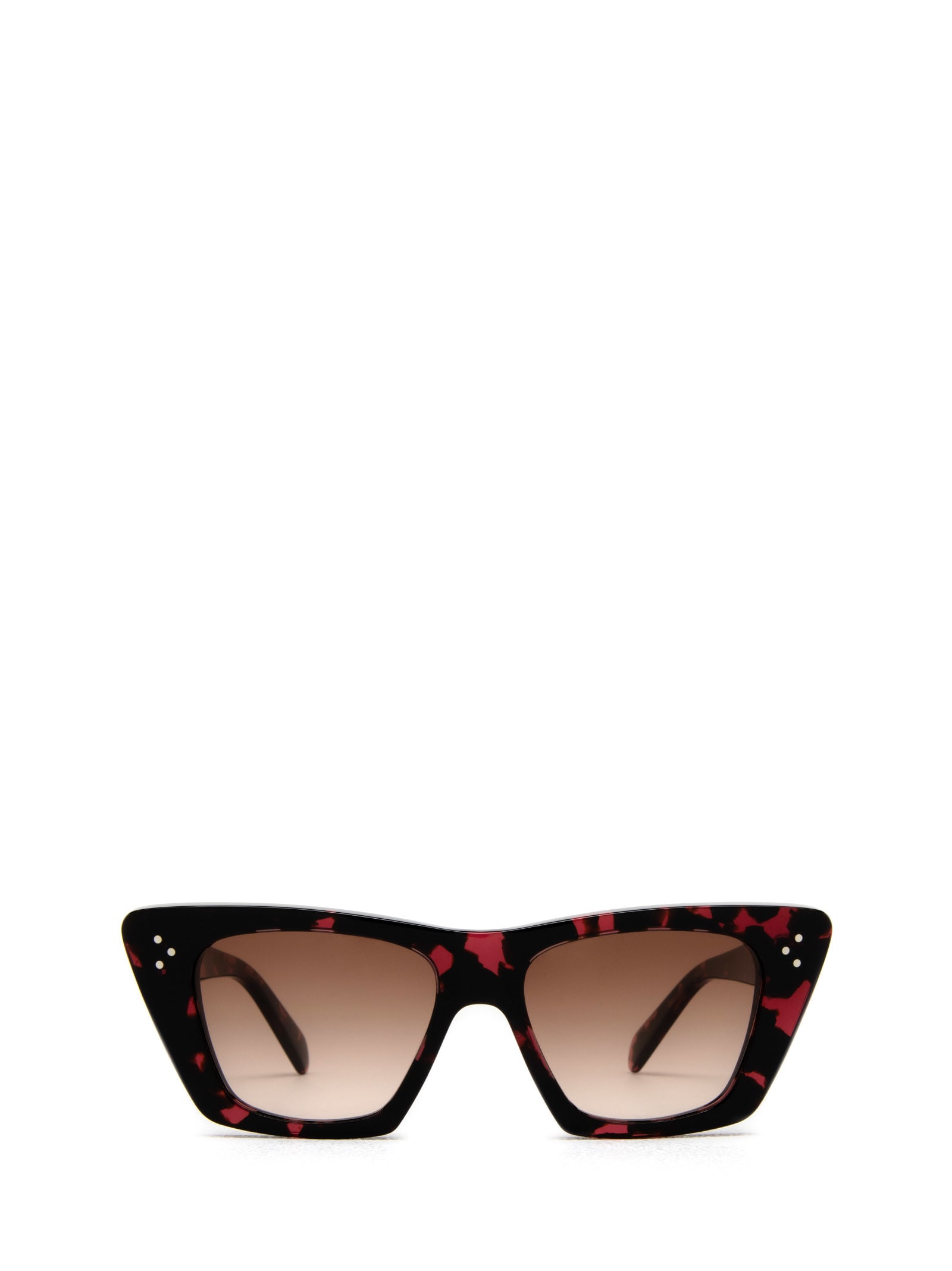 Cl40187i Red Havana Sunglasses