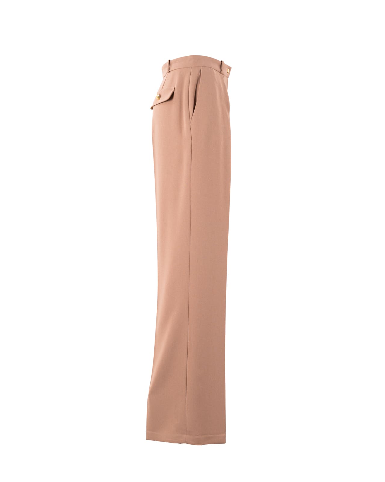 Shop Elisabetta Franchi Trousers Camel