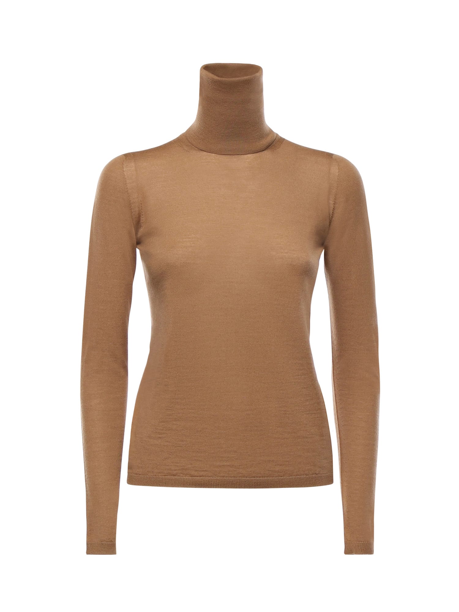 Max Mara Wool Turtleneck In Brown