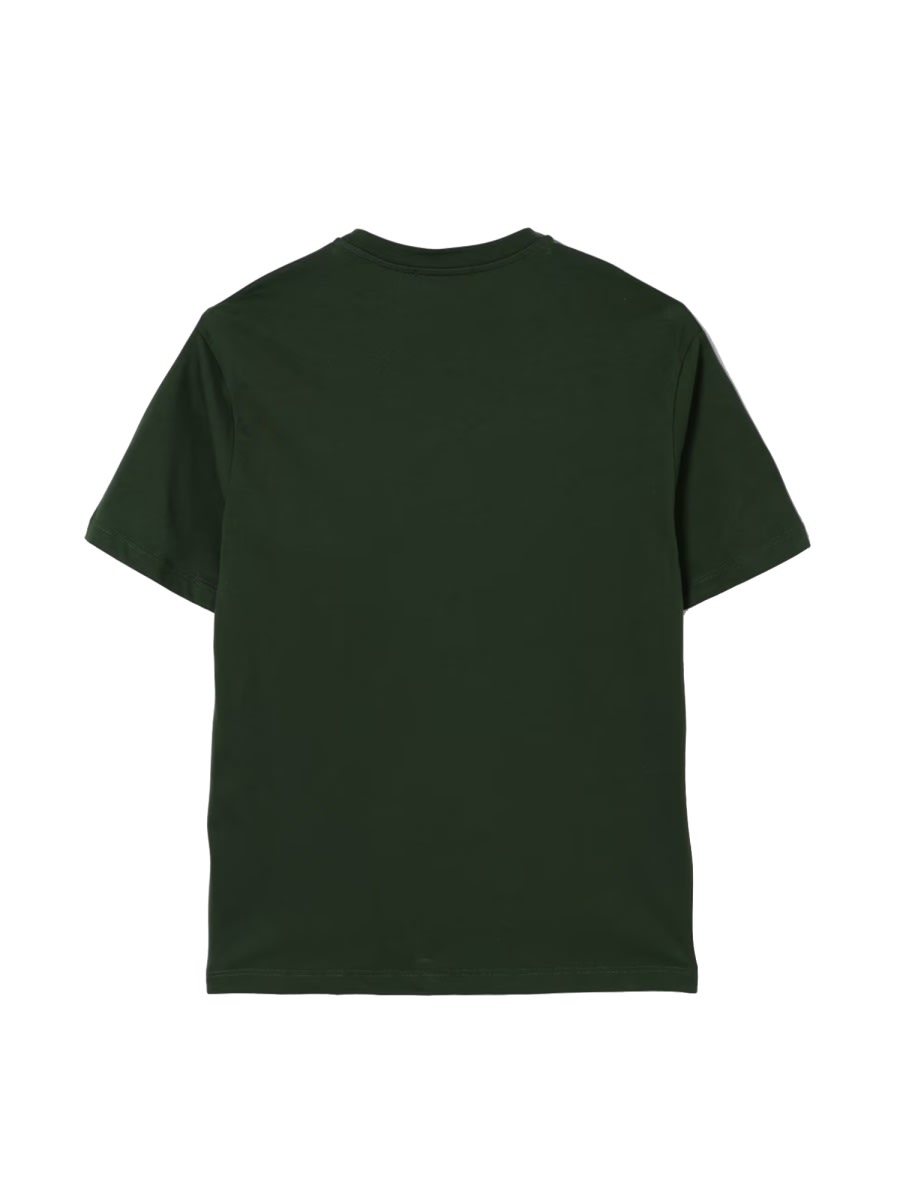 Msgm T-shirt With Logo In Green