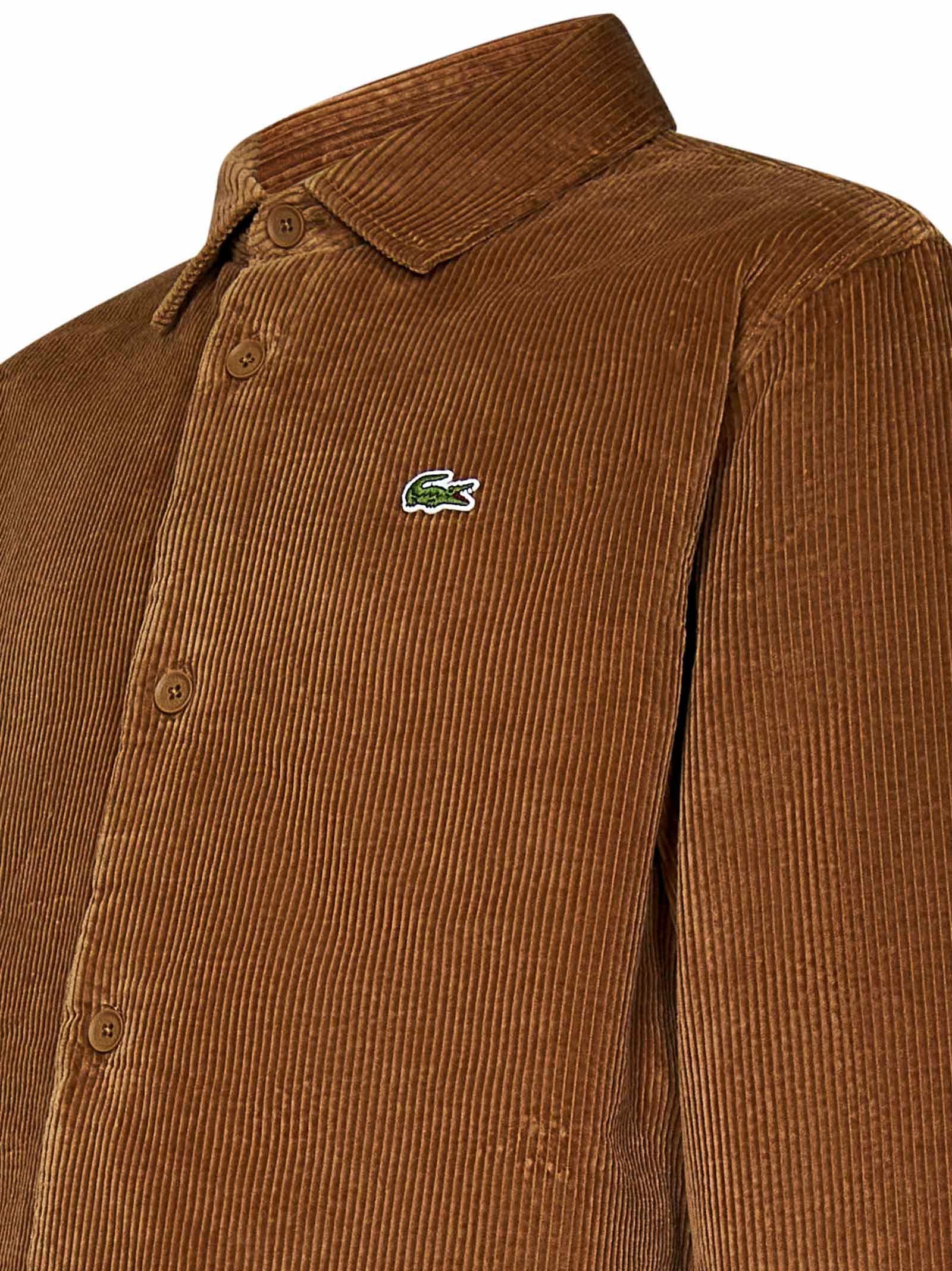 Shop Lacoste Shirt In Brown