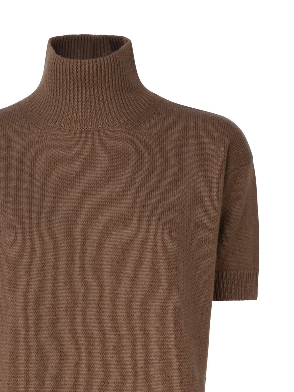 Shop 's Max Mara Wool And Cashmere Turtleneck In Brown