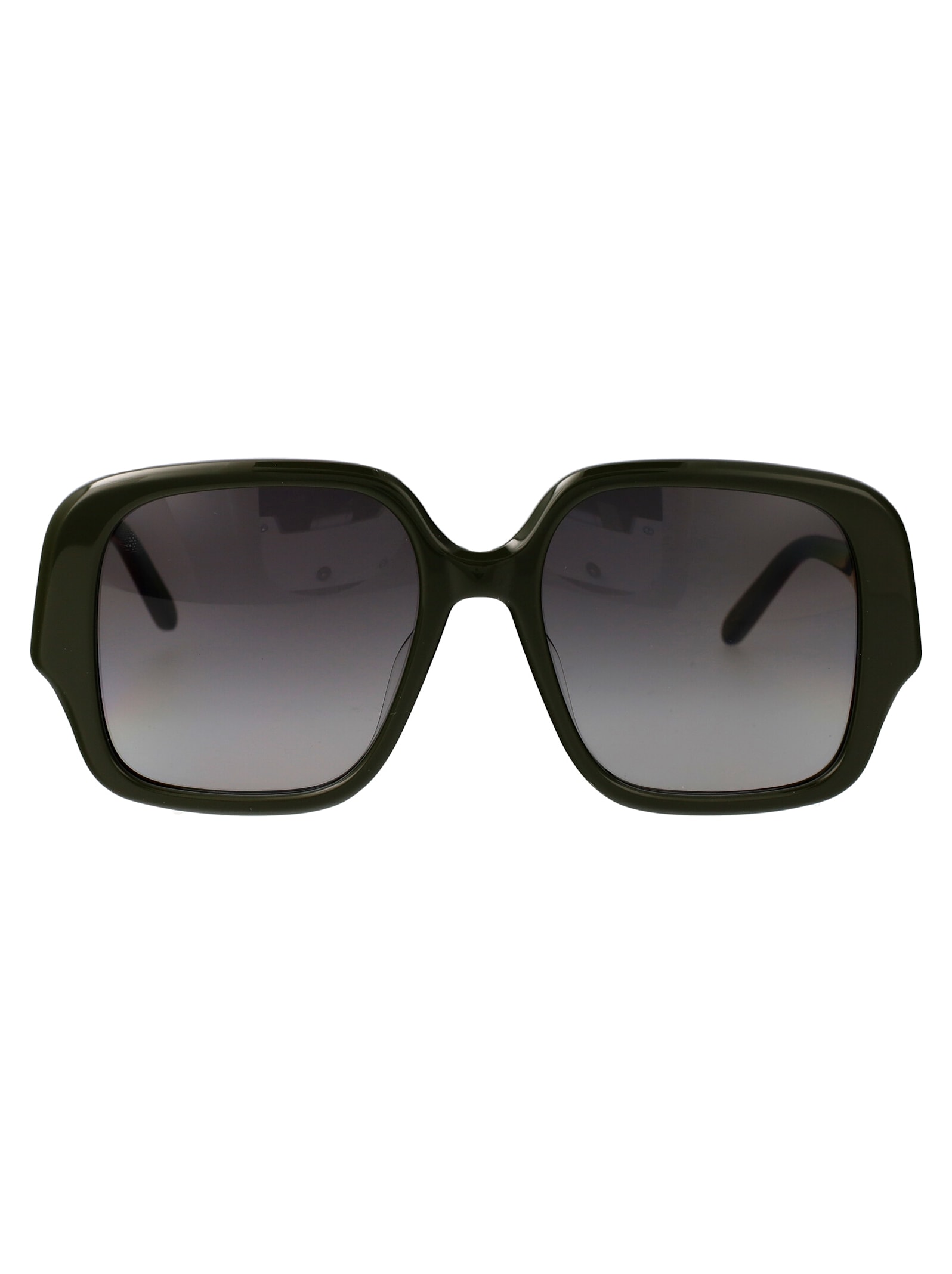 Loewe Lw40134u Sunglasses In Black