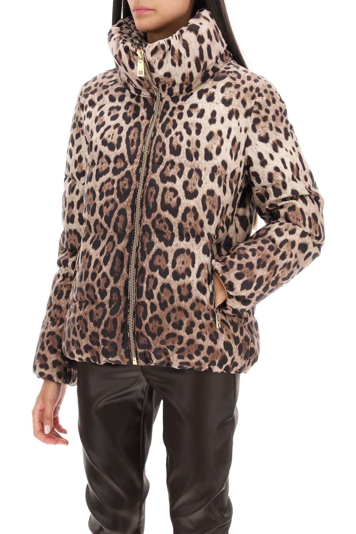 Dolce & Gabbana Leopard Print Stand Collar Puffer Jacket In Beige