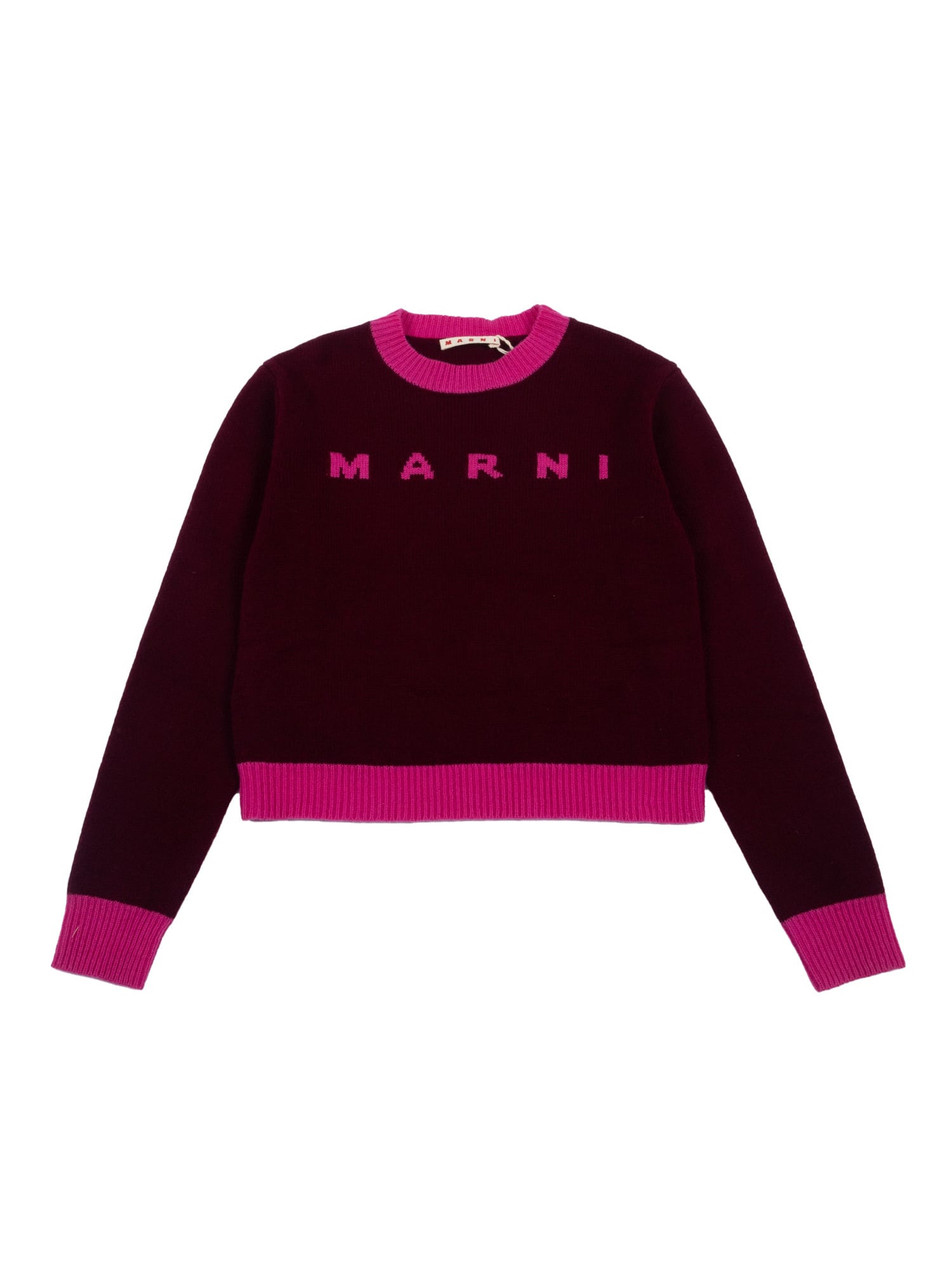 Marni L And Cashmere Sweater With Logo Kids In Brown