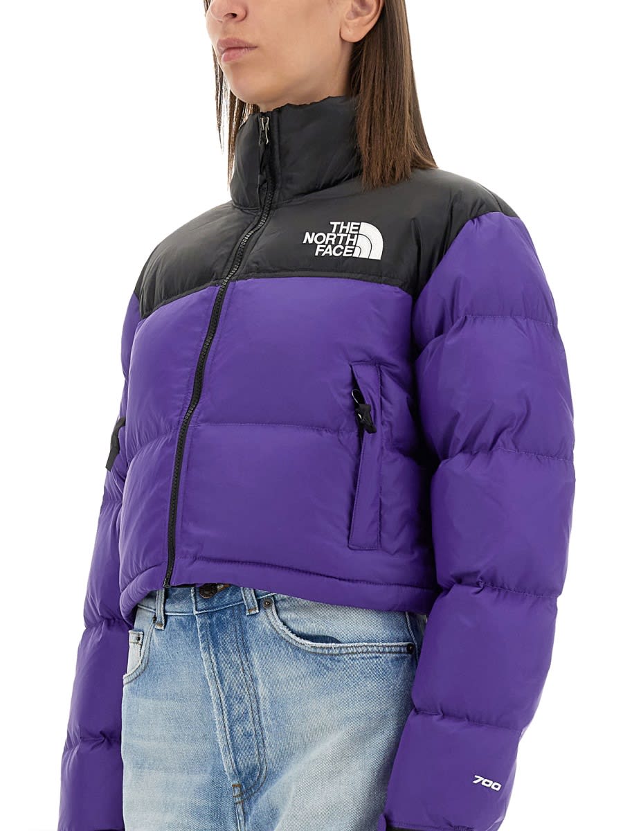 Shop The North Face Nuptse Short Jacket In Purple