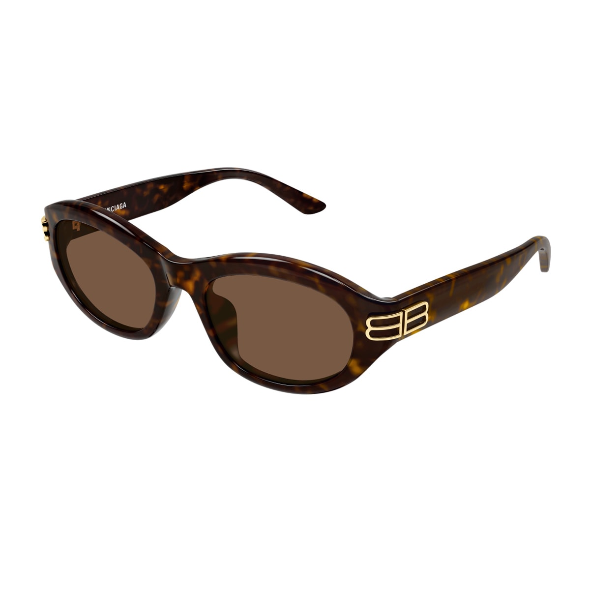 Balenciaga Bb0434sk Linea Everyday 002 Havana Brown Sunglasses In Brown