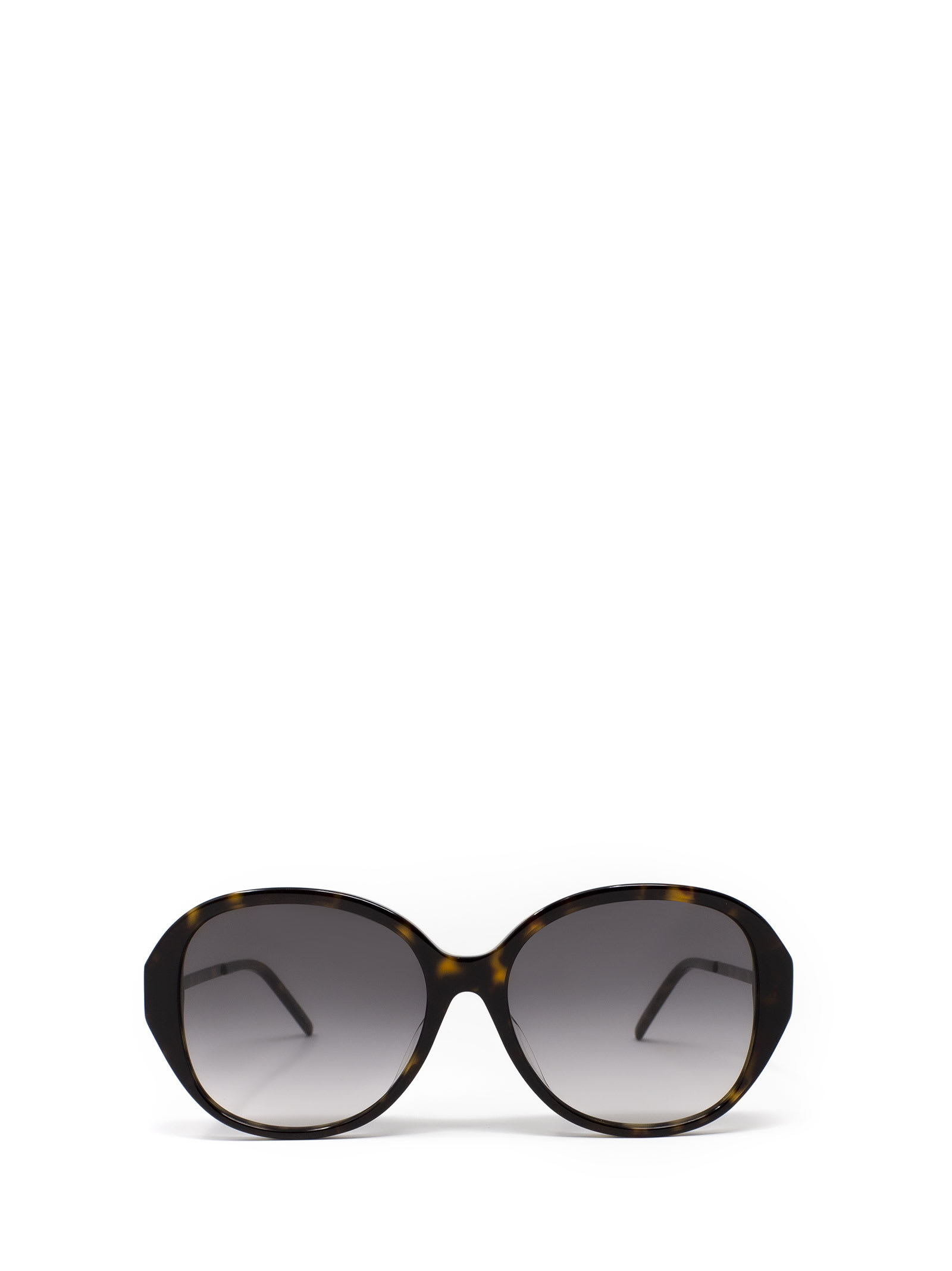 Saint Laurent Sl M48s B/k Dark Havana Sunglasses