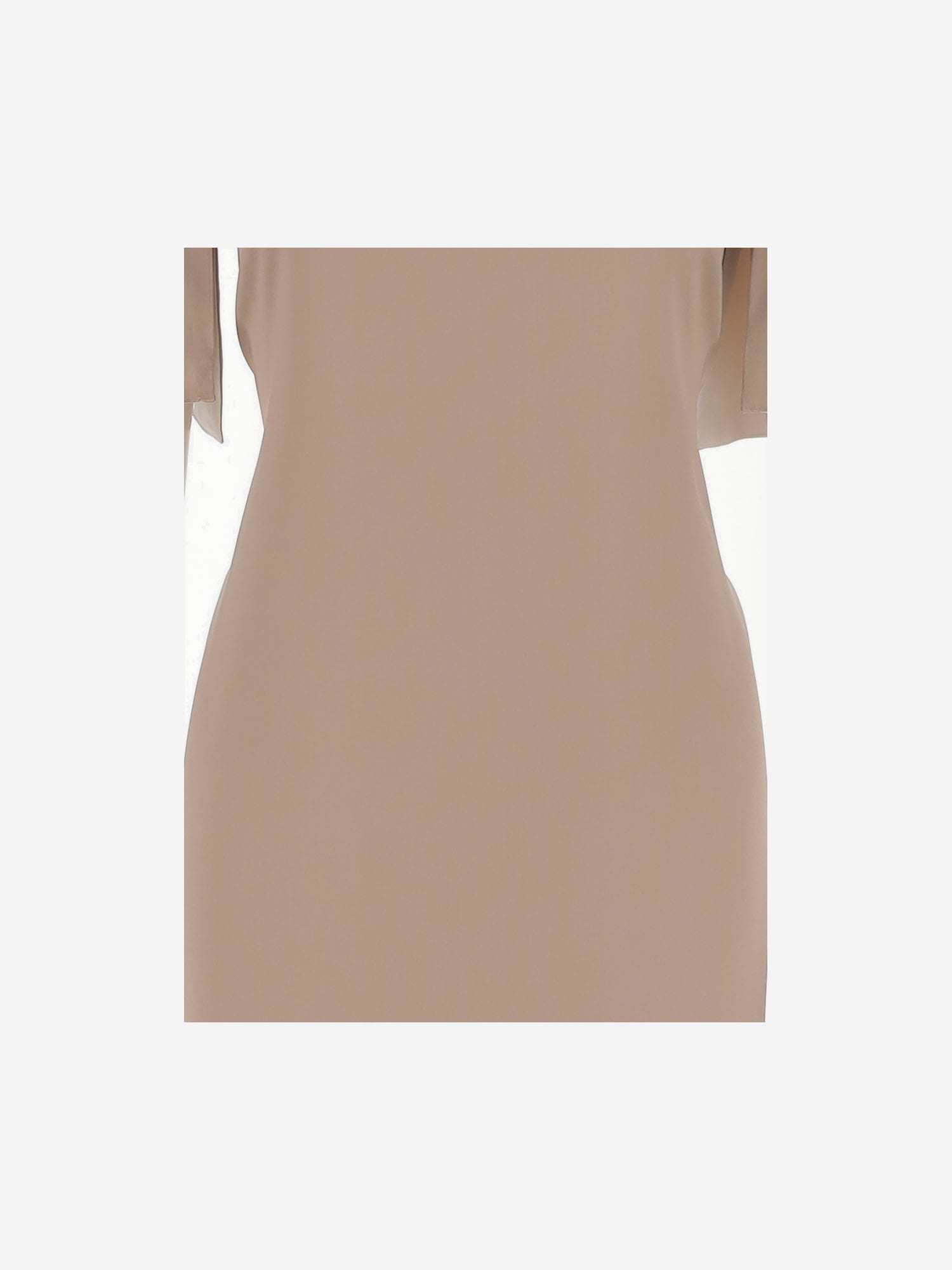 Stephan Janson Twenty Dress Made Of Silk Satin In Beige